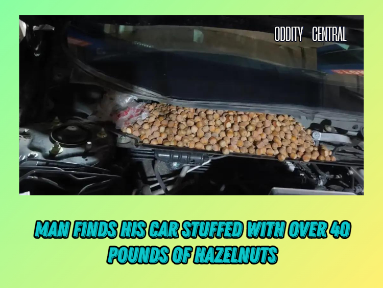 Oddity - Mr. Wang, a motorist from China, had long been hearing strange ...