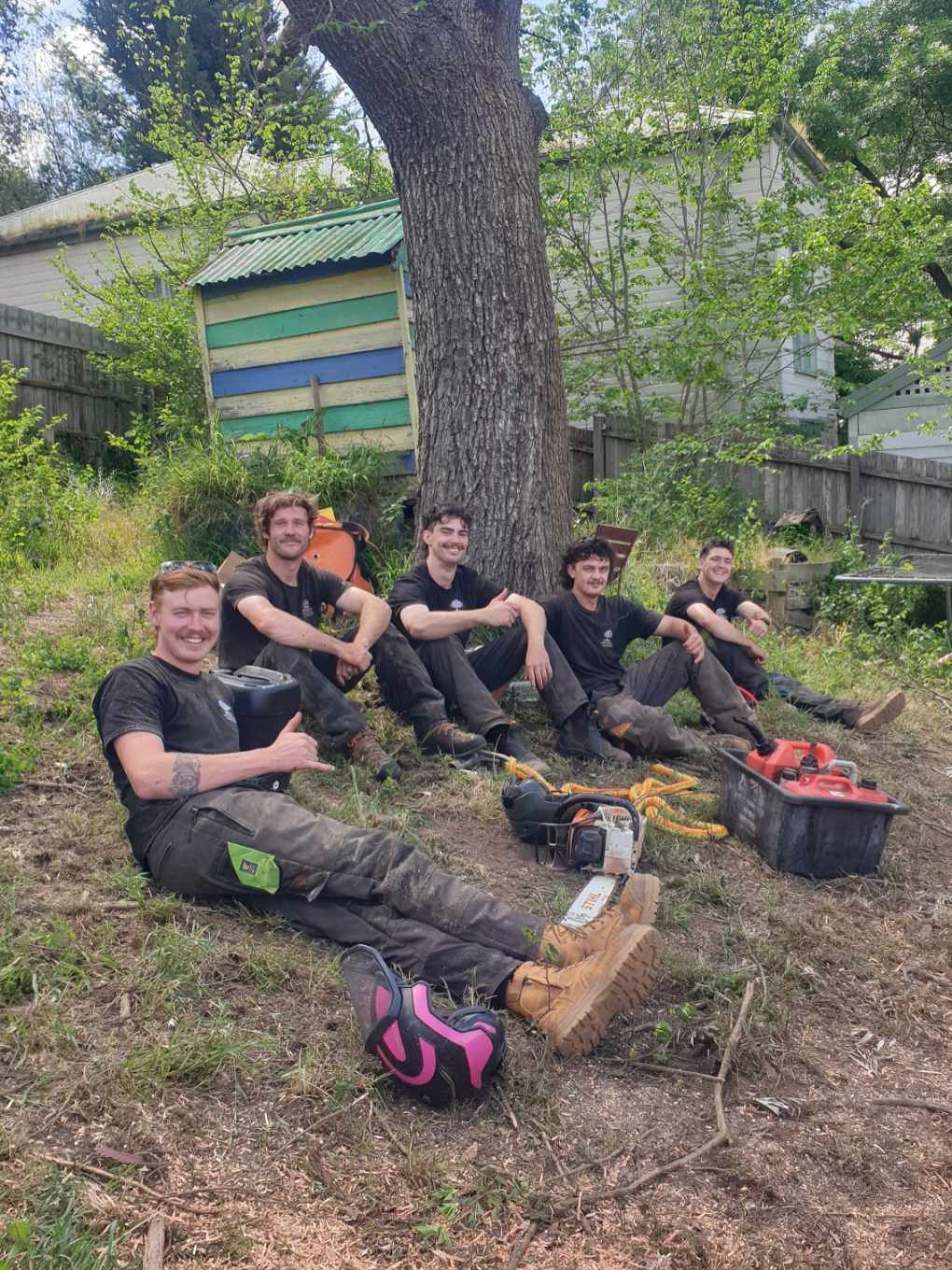 Arborbarber Tree Works | Melbourne VIC