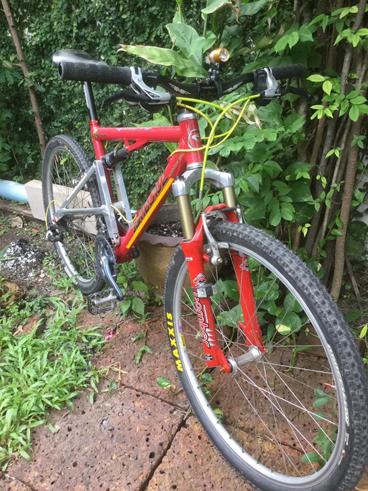 Restored 1998 Santa Cruz Heckler found after 20 years