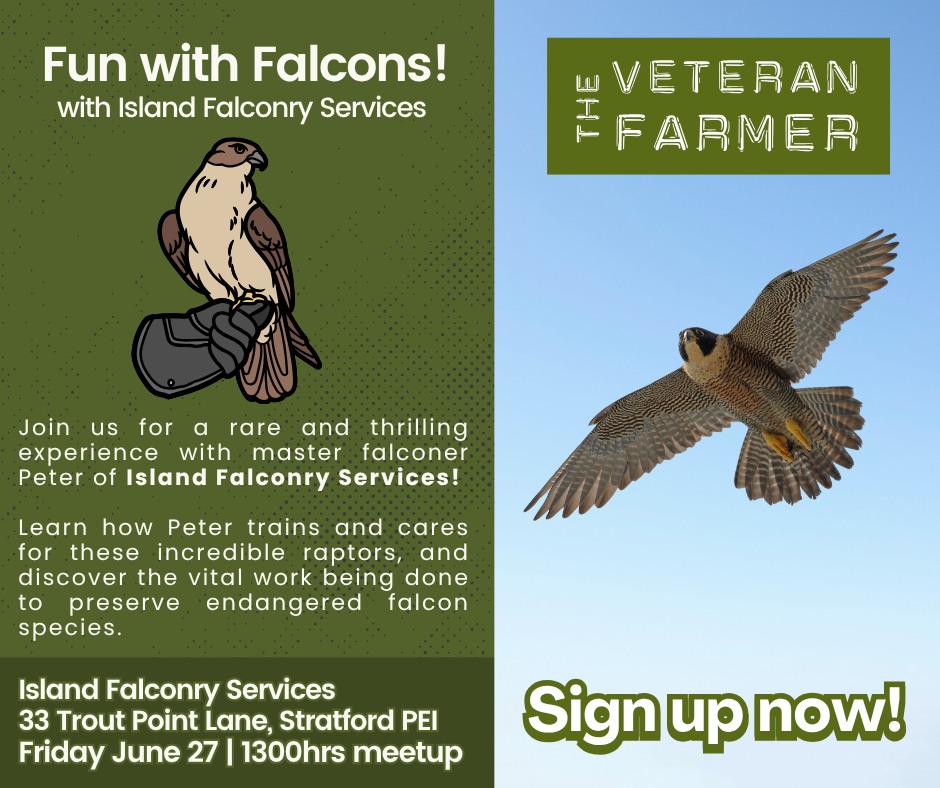 The Veteran - 🟩 Calling all PEI TVF Members! 🦅 🦅 🦅 Sign up to join us ...