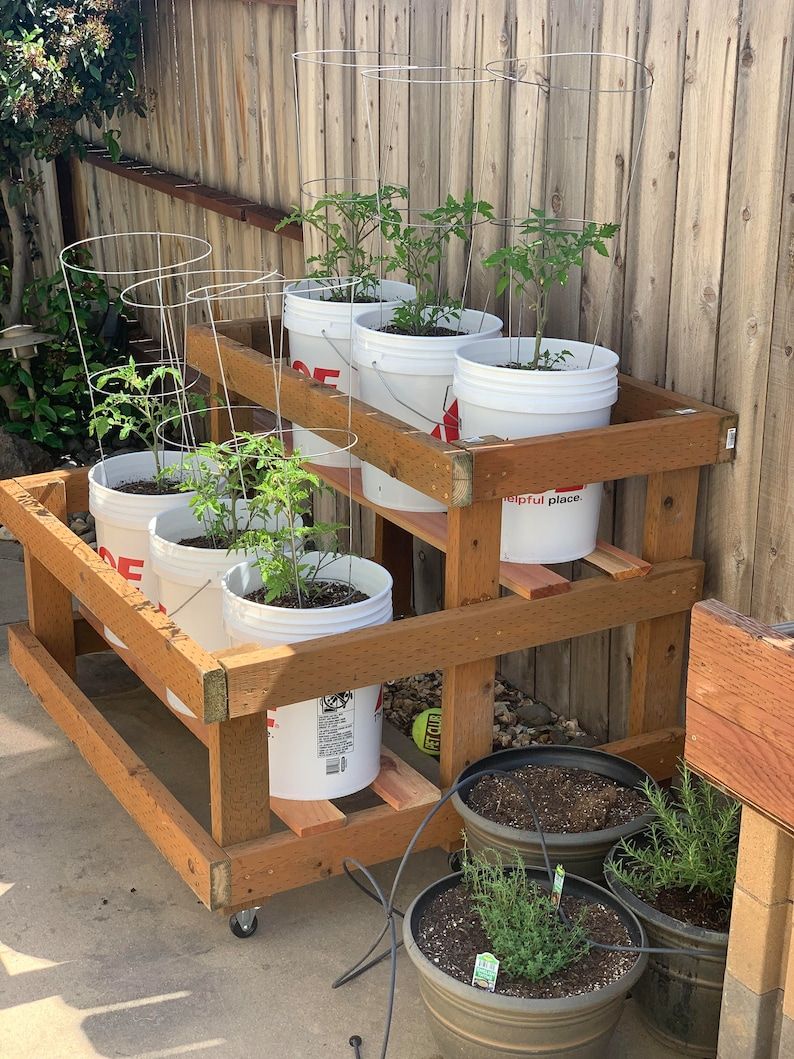 Art - Smart DIY Tomato Rack for Small Spaces I built this simple wooden ...