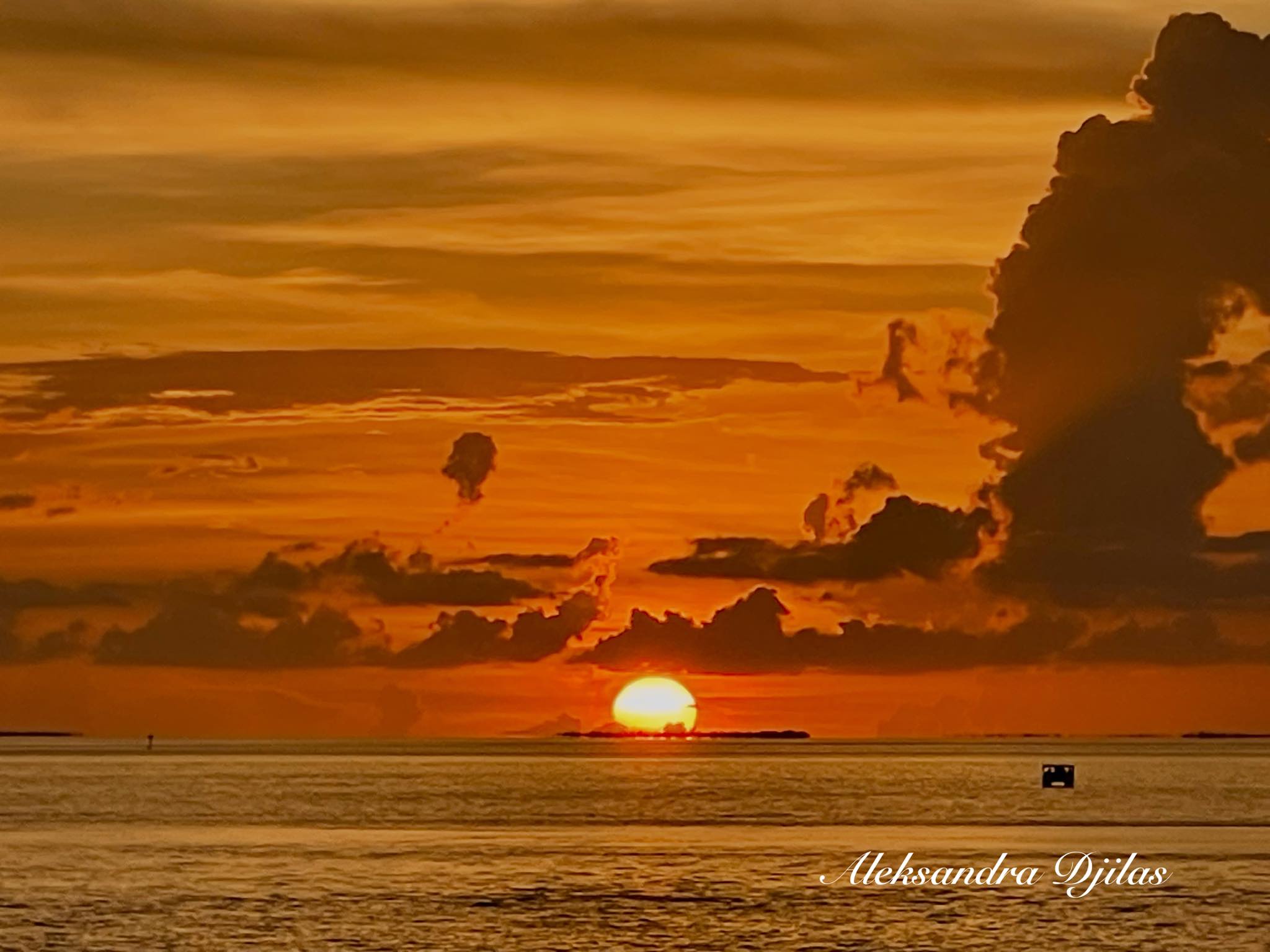 Stellar Sarasota sunset on a brisk November evening. 📷 Ross Stepanek