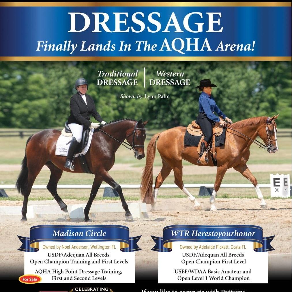 Palm Equestrian Academy added a... - Palm Equestrian Academy