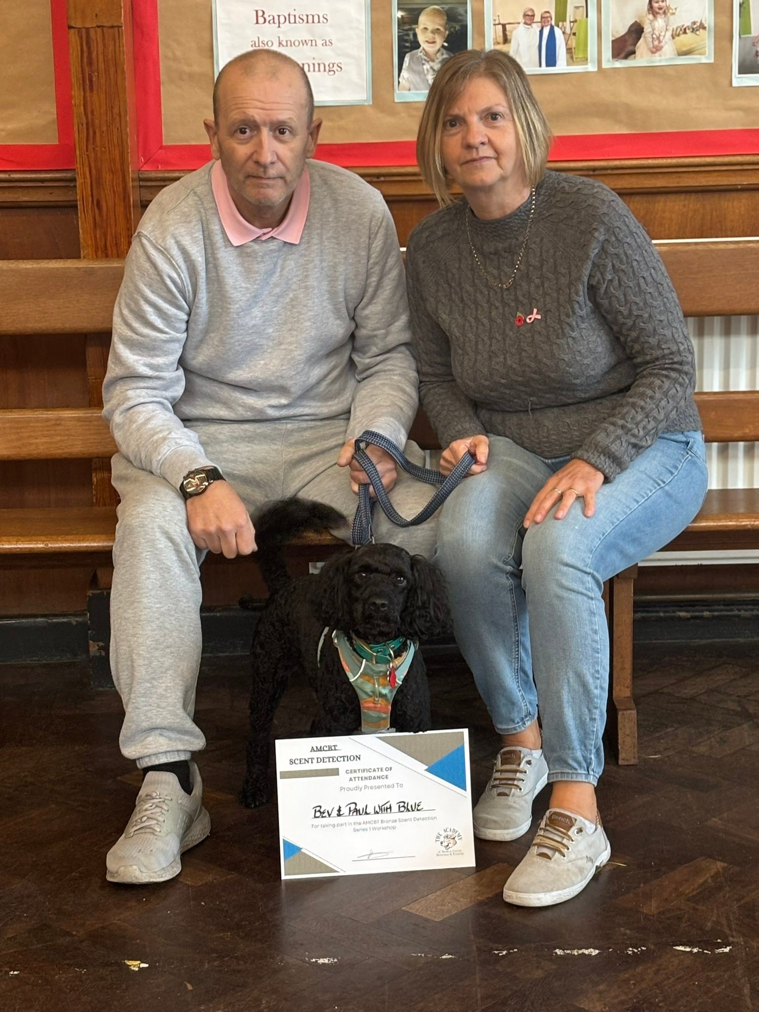 The Academy of Modern Canine Behaviour & Training | Portsmouth