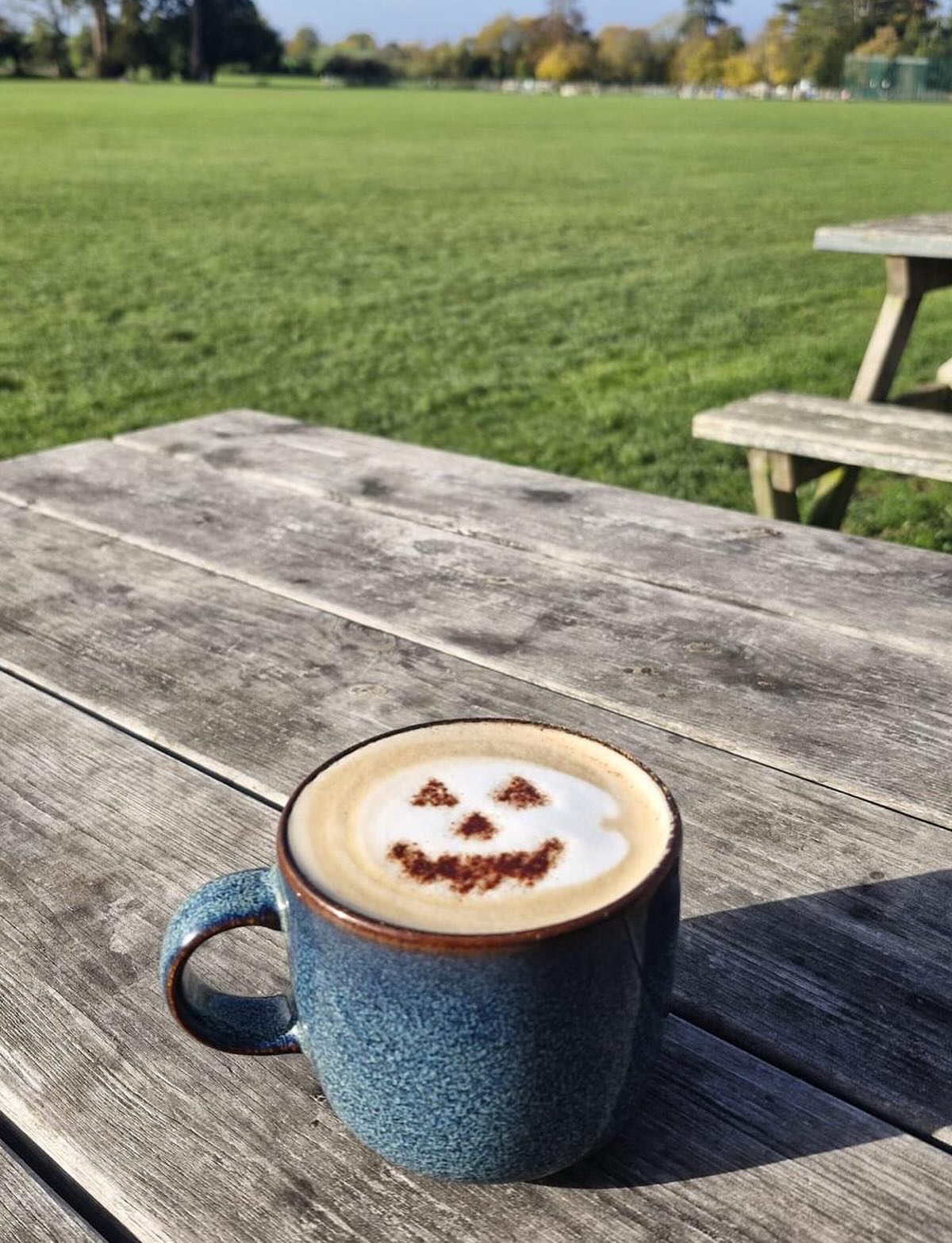 your-cafe-in-the-park-aston-clinton