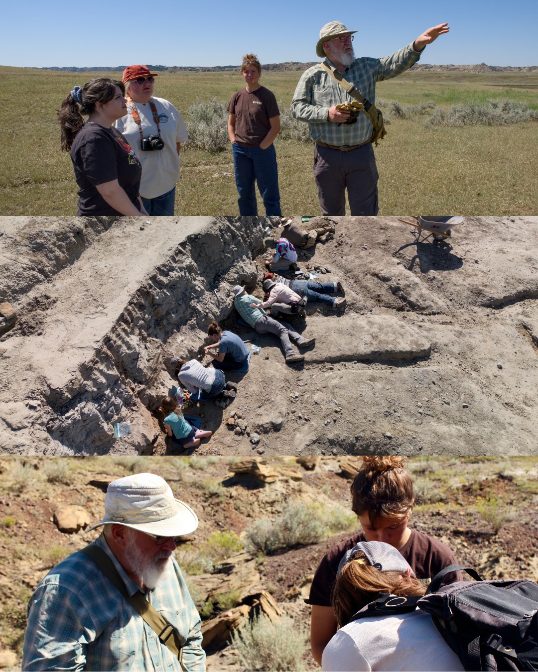 Montana - 🦖 Dino Dig ’25 was dino-mite! 🌞🪨 MBC students got their hands ...