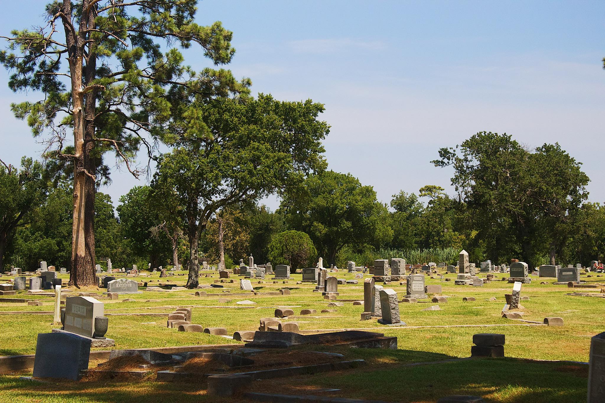 Historic Hollywood Cemetery | Houston TX