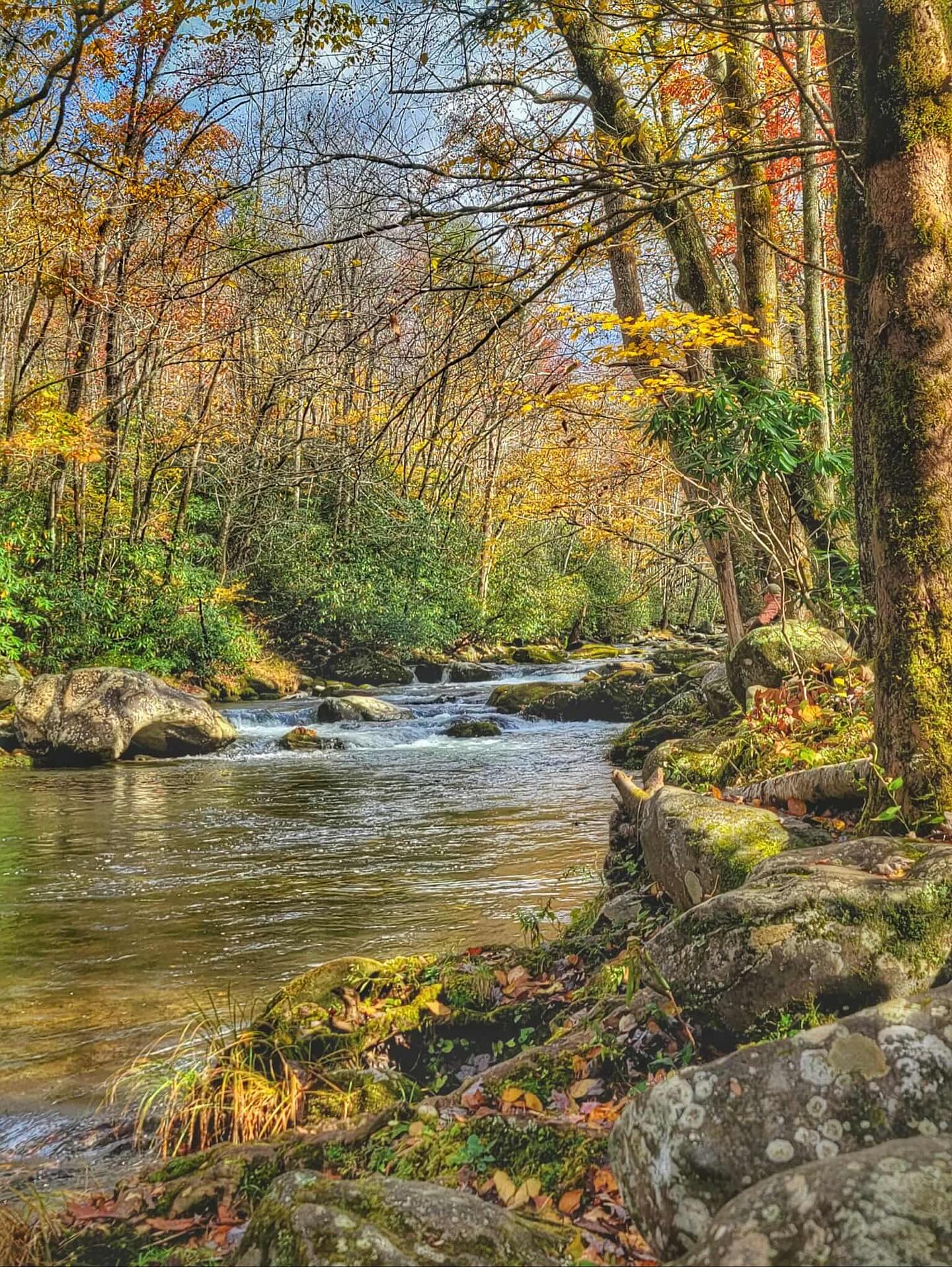 James Spann - Pigeon Forge today… photos from Lisa Letson | Facebook