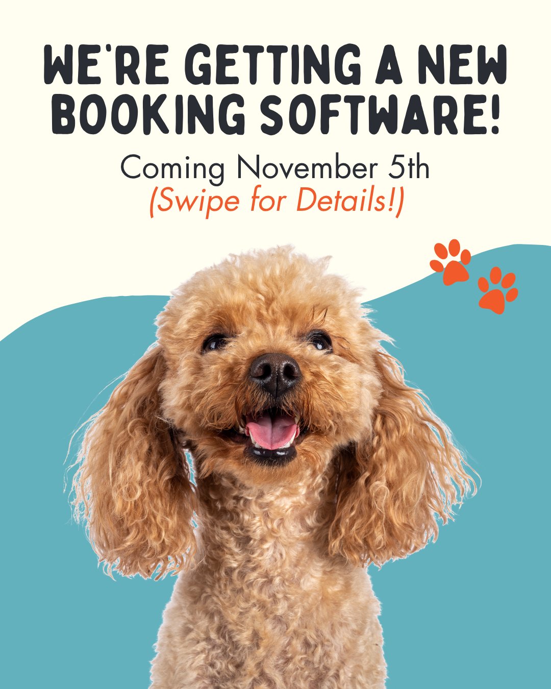 Gallery image with a fresh perspective