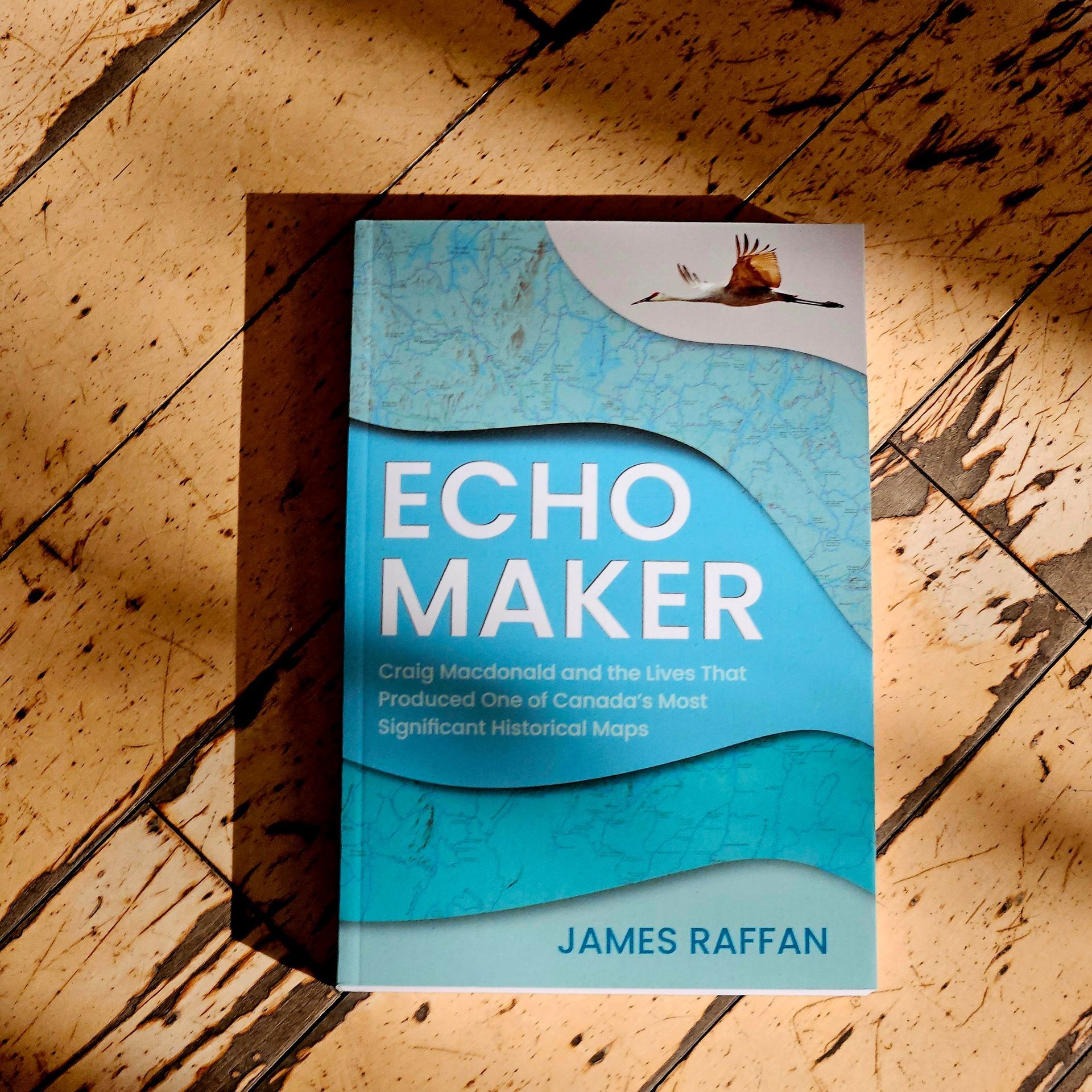 Dundurn Press - NEW RELEASE: ECHO MAKER by James Raffan.... | Facebook