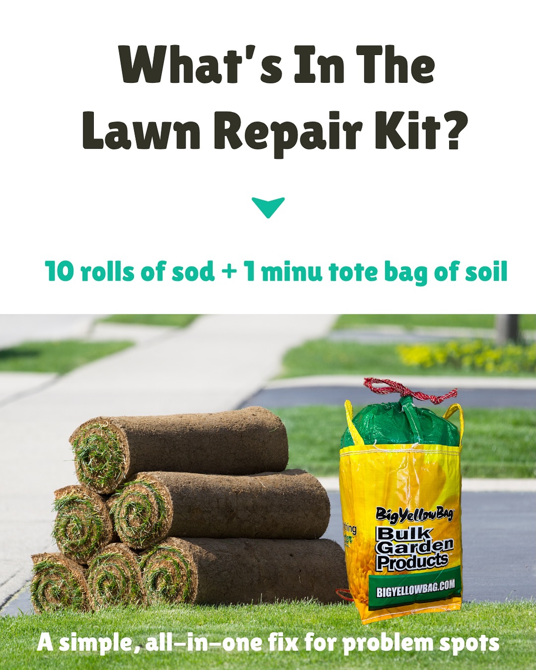 👇Here’s what you get: 1-Mini... - Greenhorizons Sod Farms | Facebook
