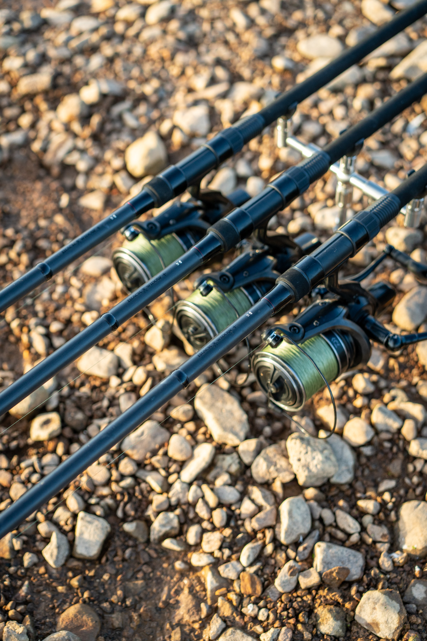 daiwa black widow carp fishing rod 12ft 2.75 Tele 3.60m 3lb Telescopic Carp : Sports & Outdoors The rods offer a tip action and powerful backbone  ideal for smaller waters DAIWA BLACK WIDOW XT 12FT