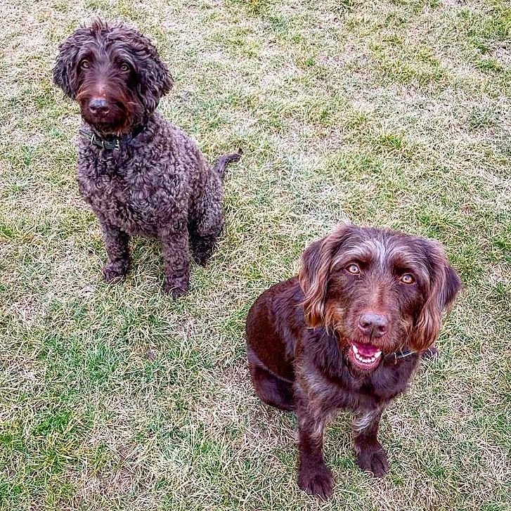 Faces that mean 
