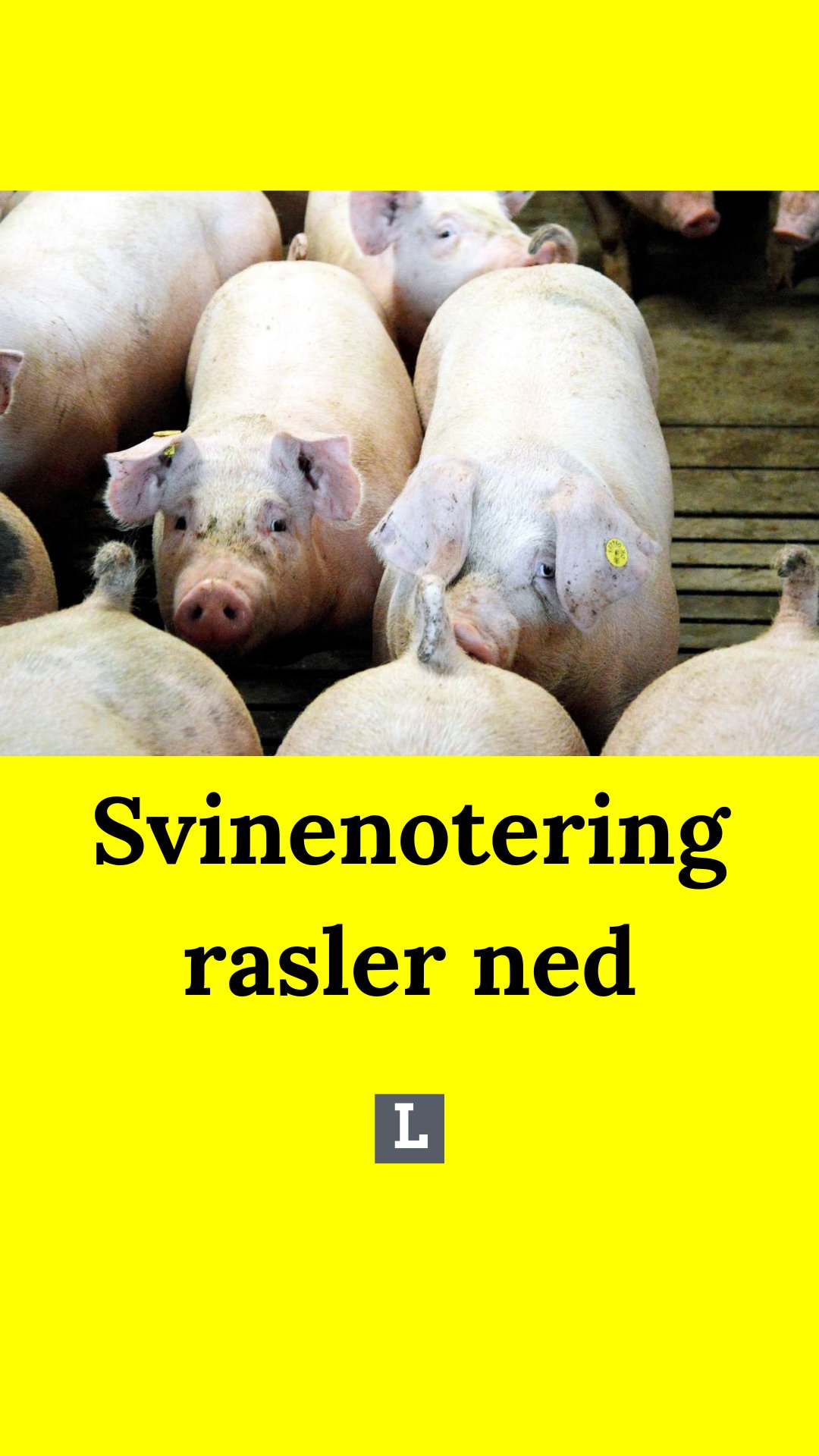 Effektivt - Noteringen tager et stort dyk i uge 47. | Facebook