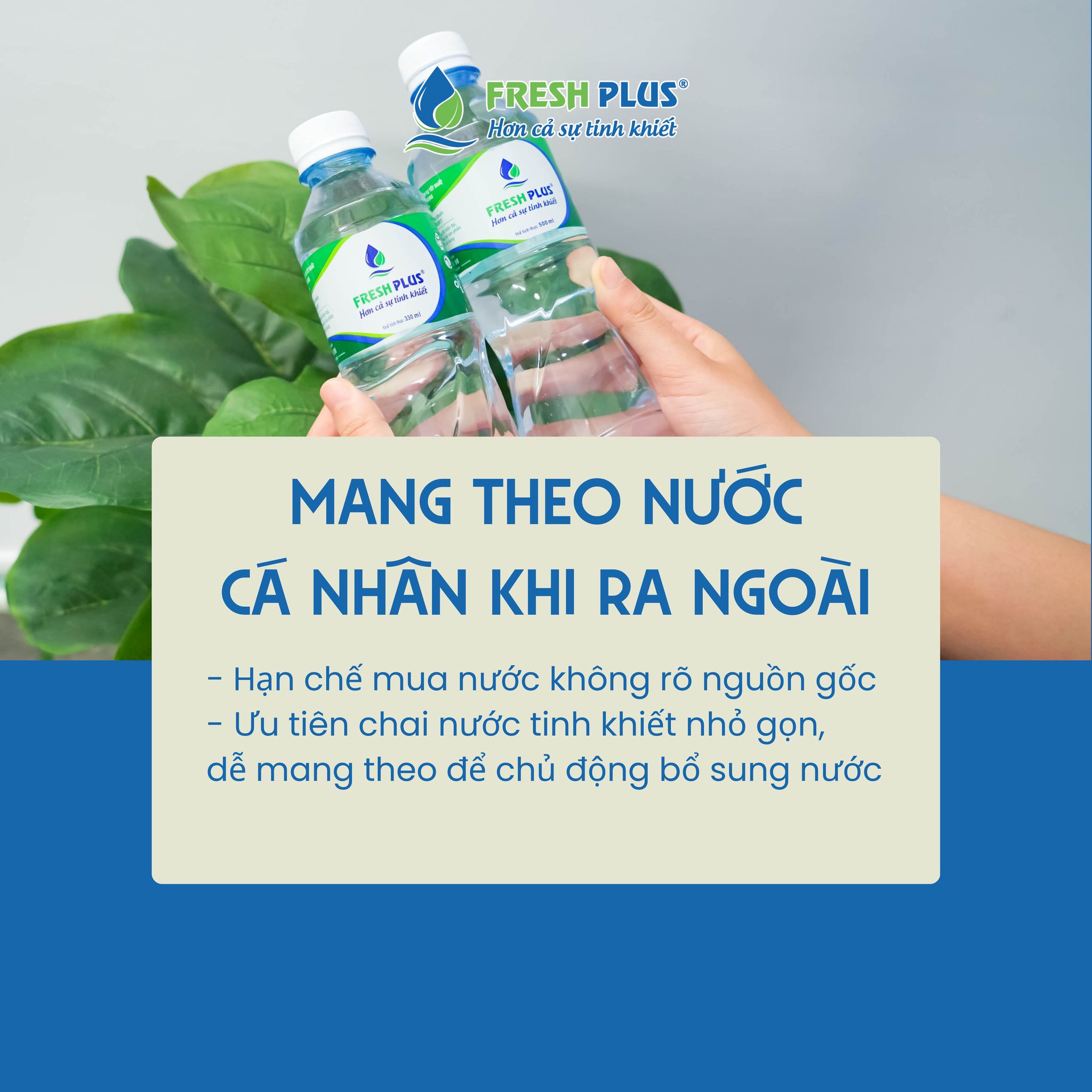 Fresh Plus