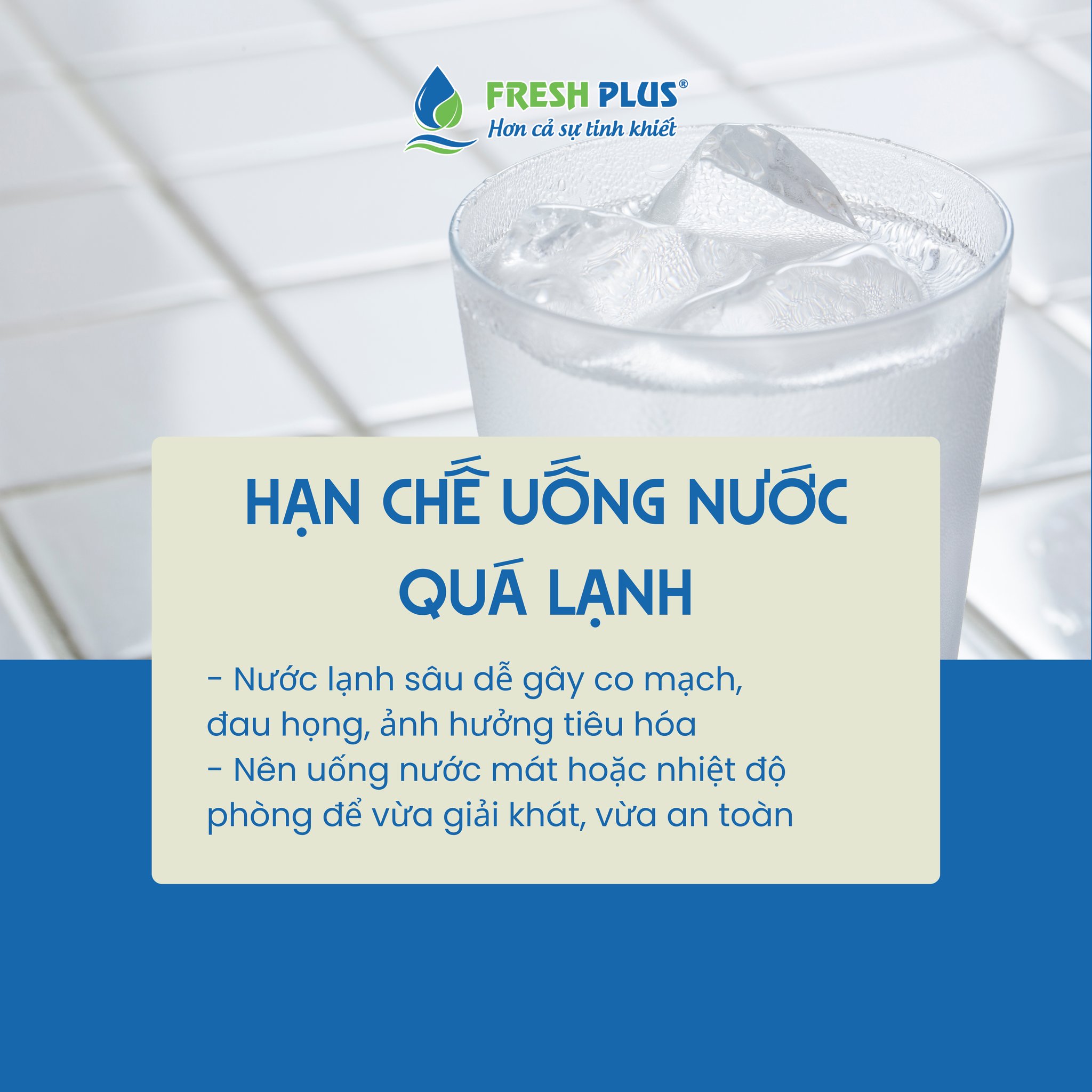 Fresh Plus