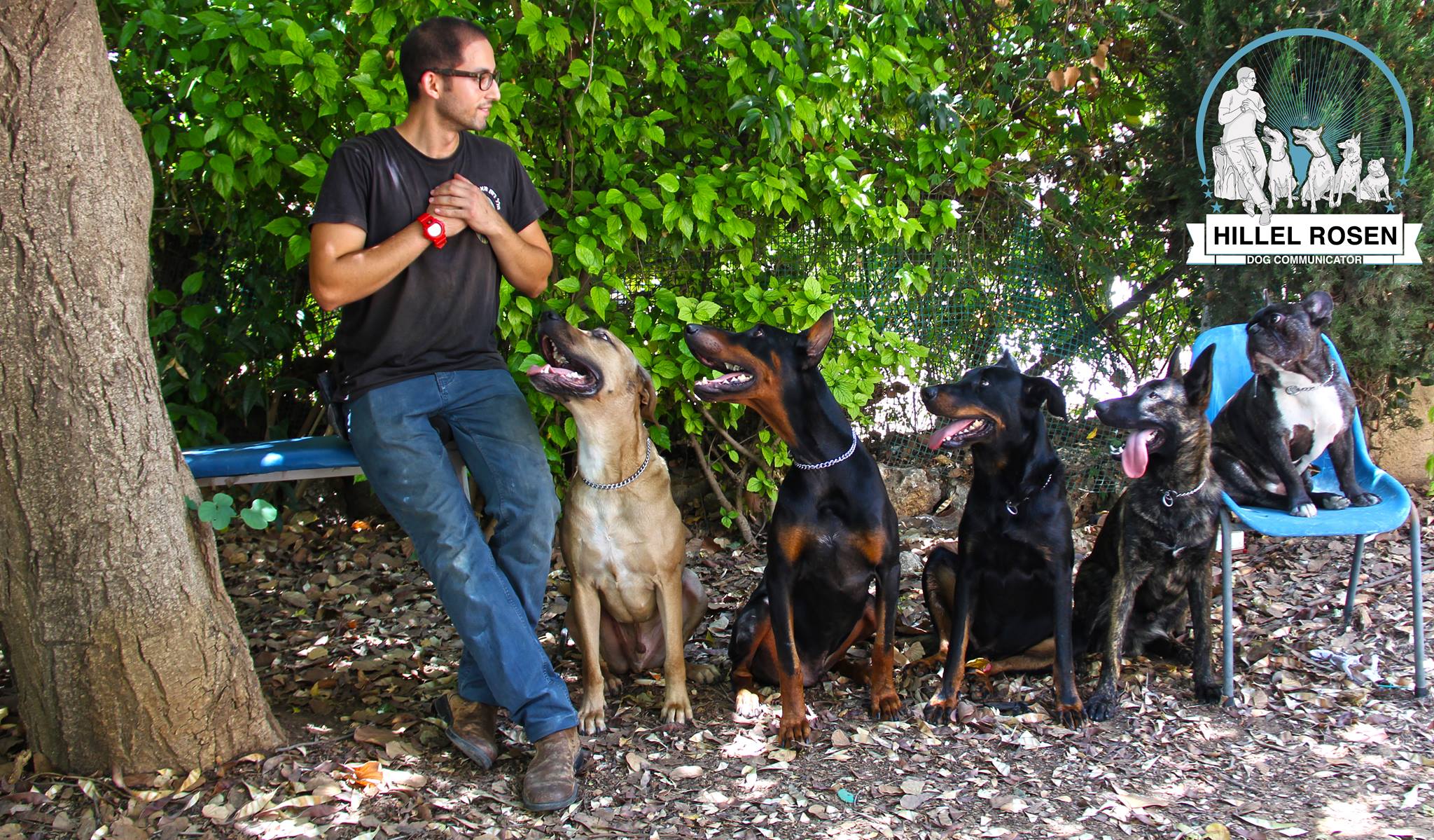 Hillel Rosen - Dog Communicator - הלל רוזן