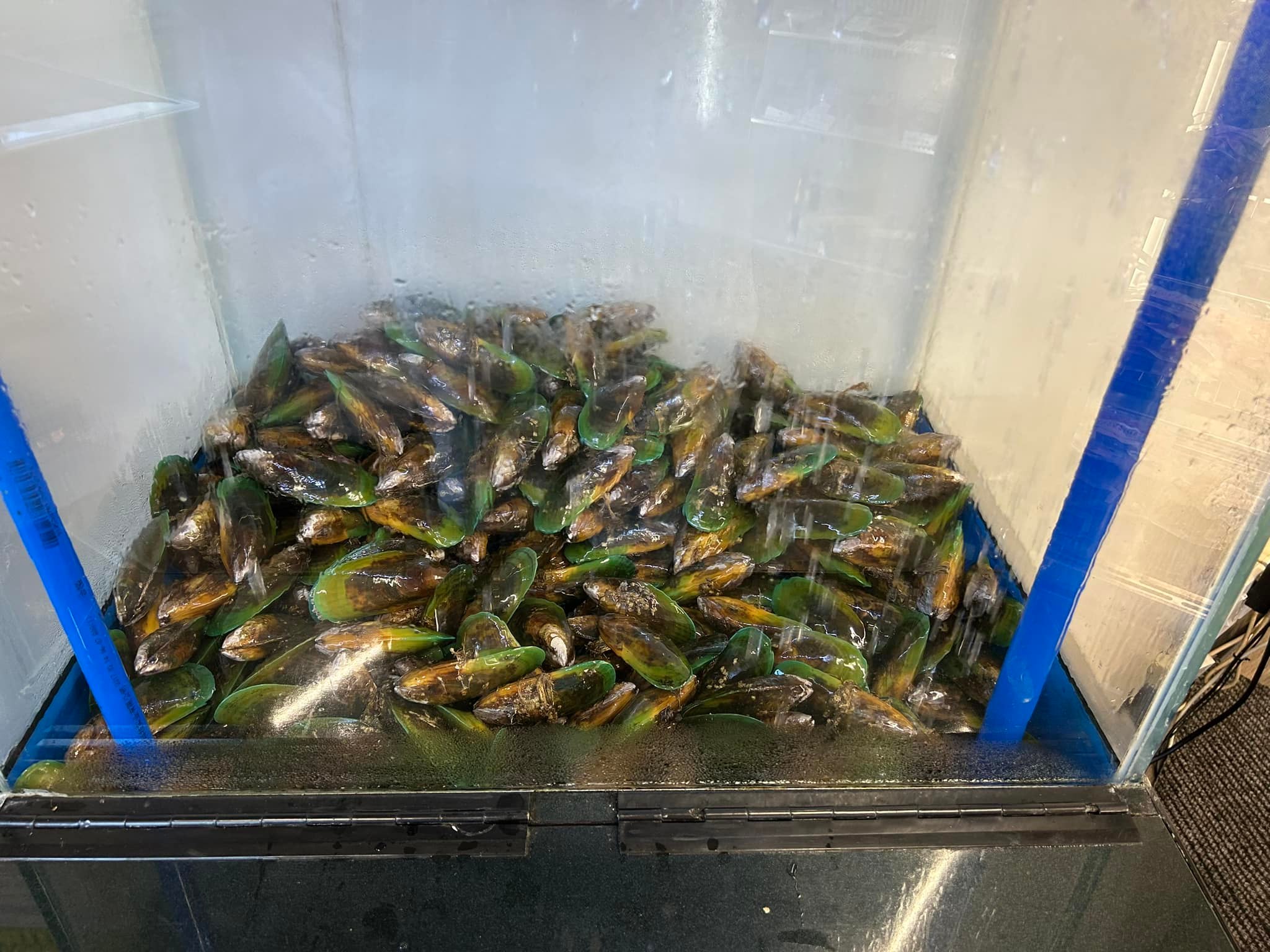 Southern Seafood Products | Invercargill