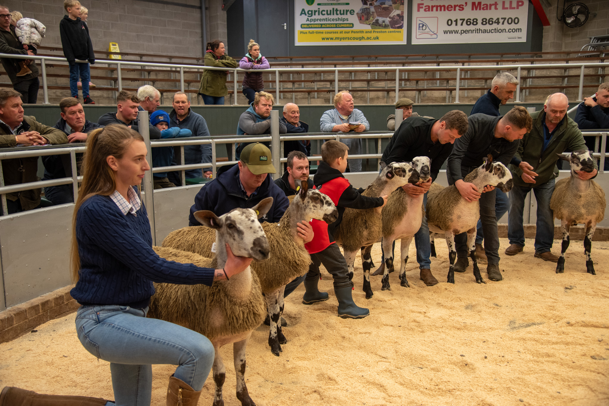 Penrith & District... - Penrith & District Farmers Mart