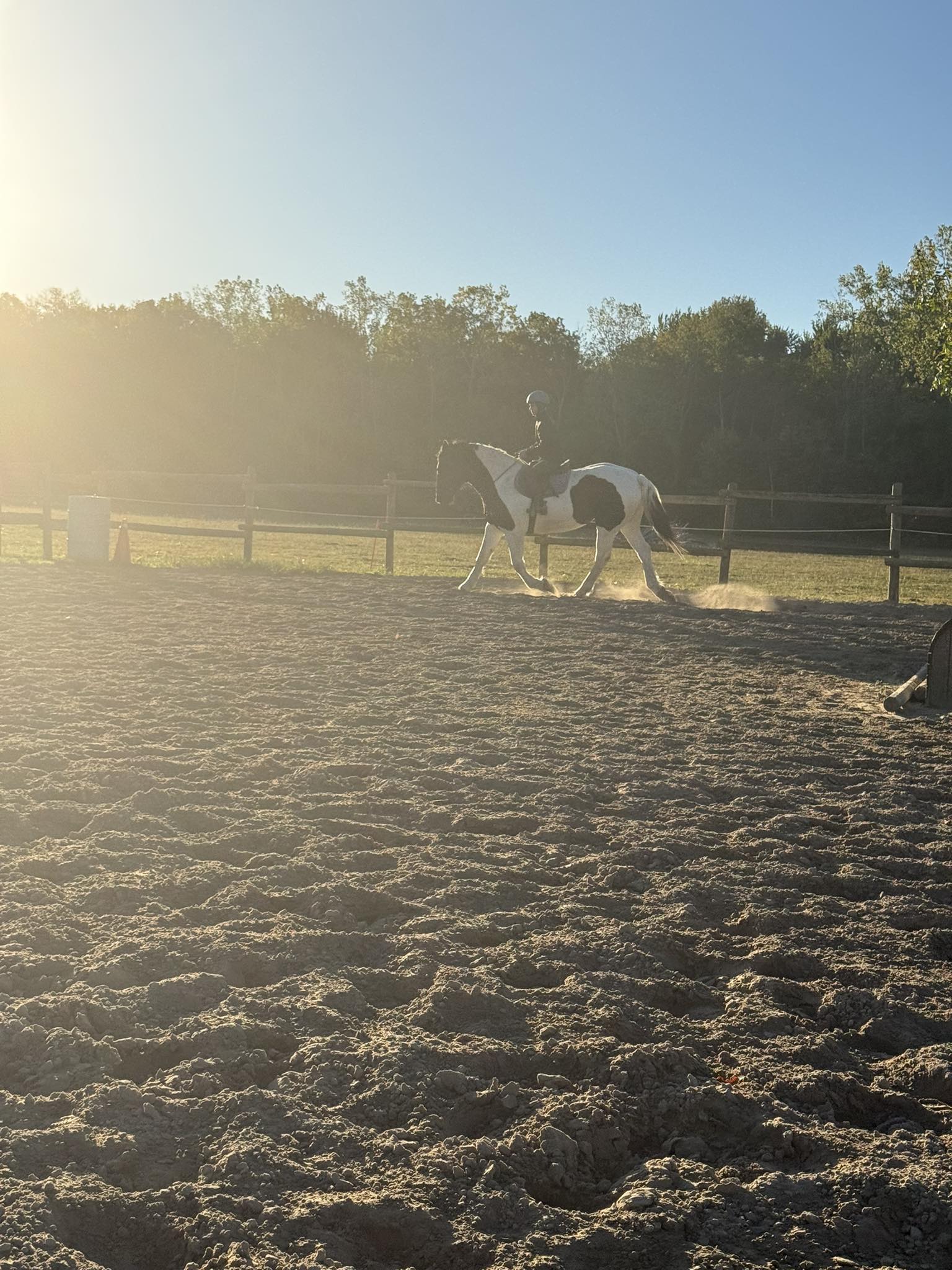 Carousel Stables added a new photo — at... - Carousel Stables