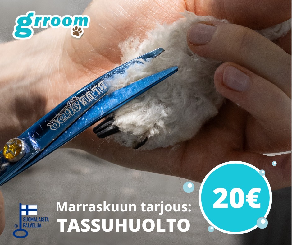Trimmauspalvelu - Marraskuussa kaikissa Grroomeissa on Tassuhuolto ...