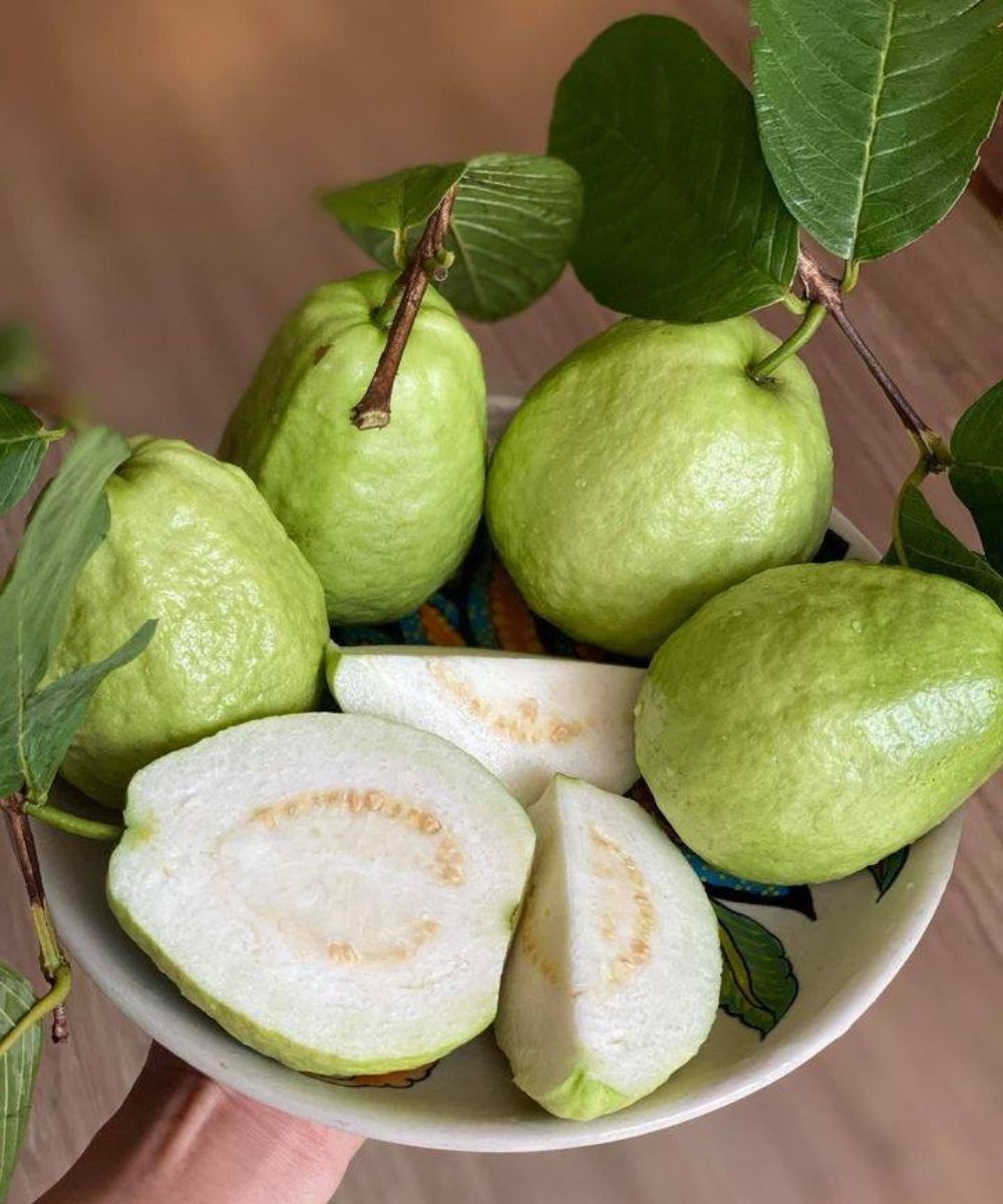 the-meaning-doctors-reveal-that-eating-guava-causes-see-more