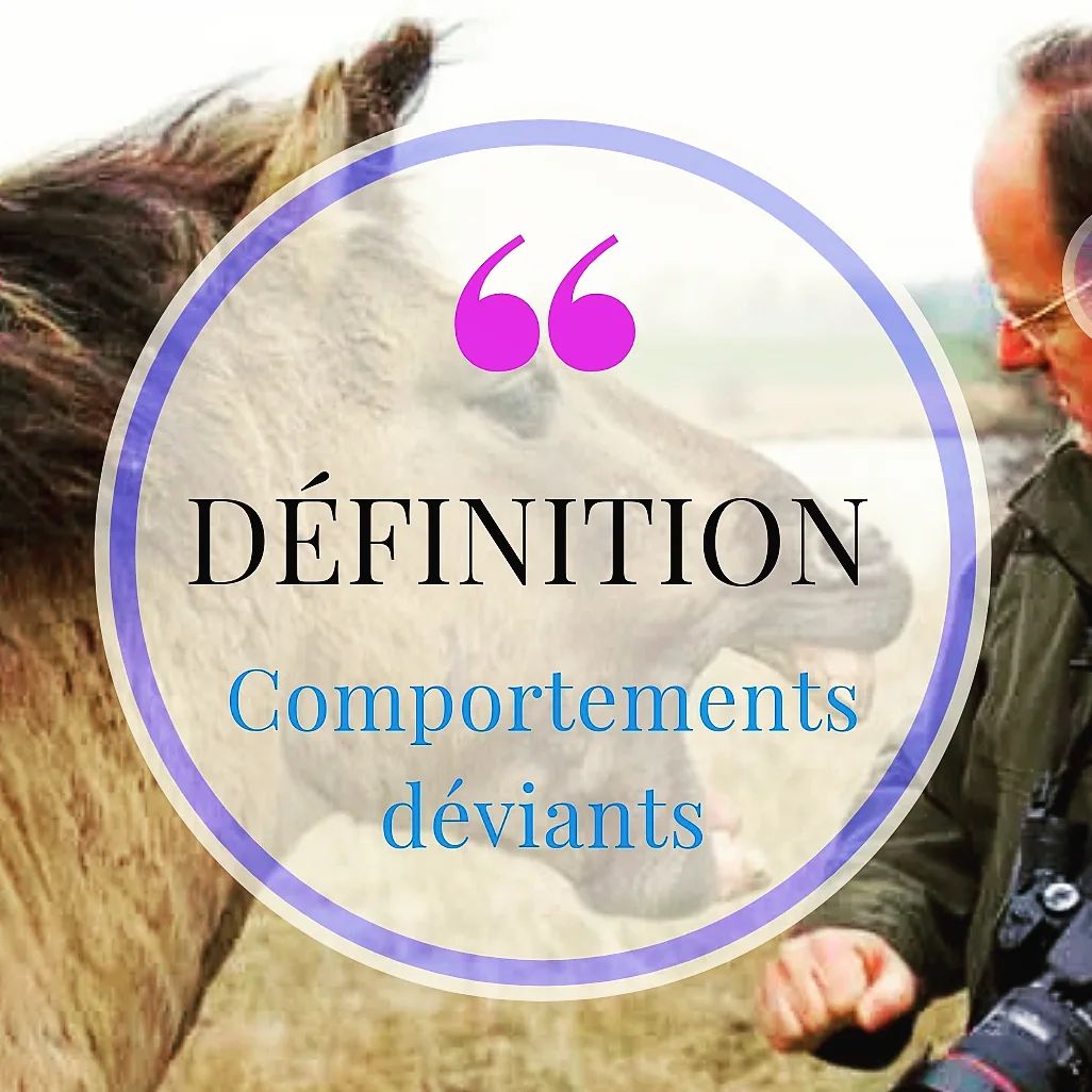 ️ Qu'est-ce qu'un comportement déviant? ️ La définition éthologique ...