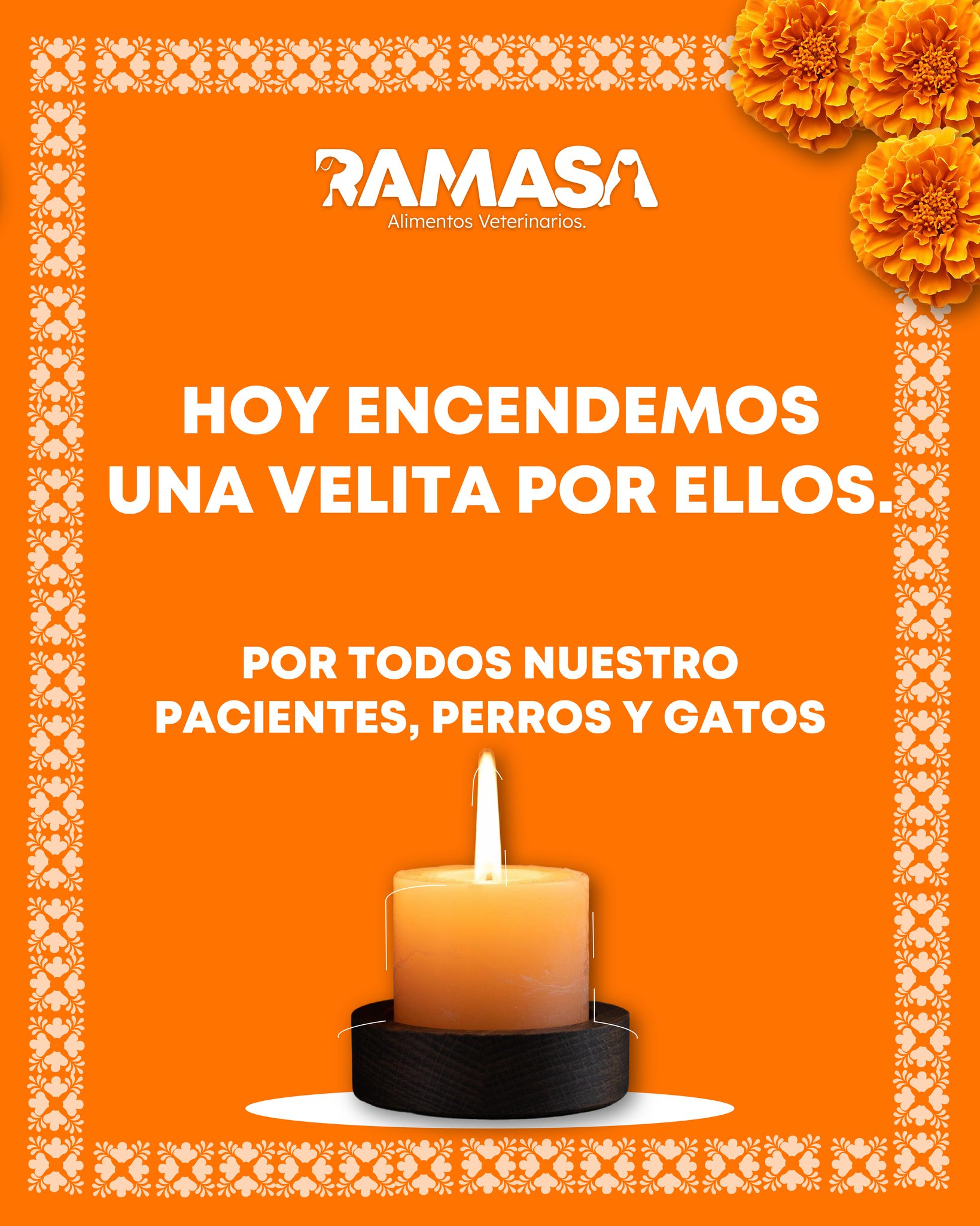Ramasa - La alergia alimentaria es un padecimiento común en nuestras ...