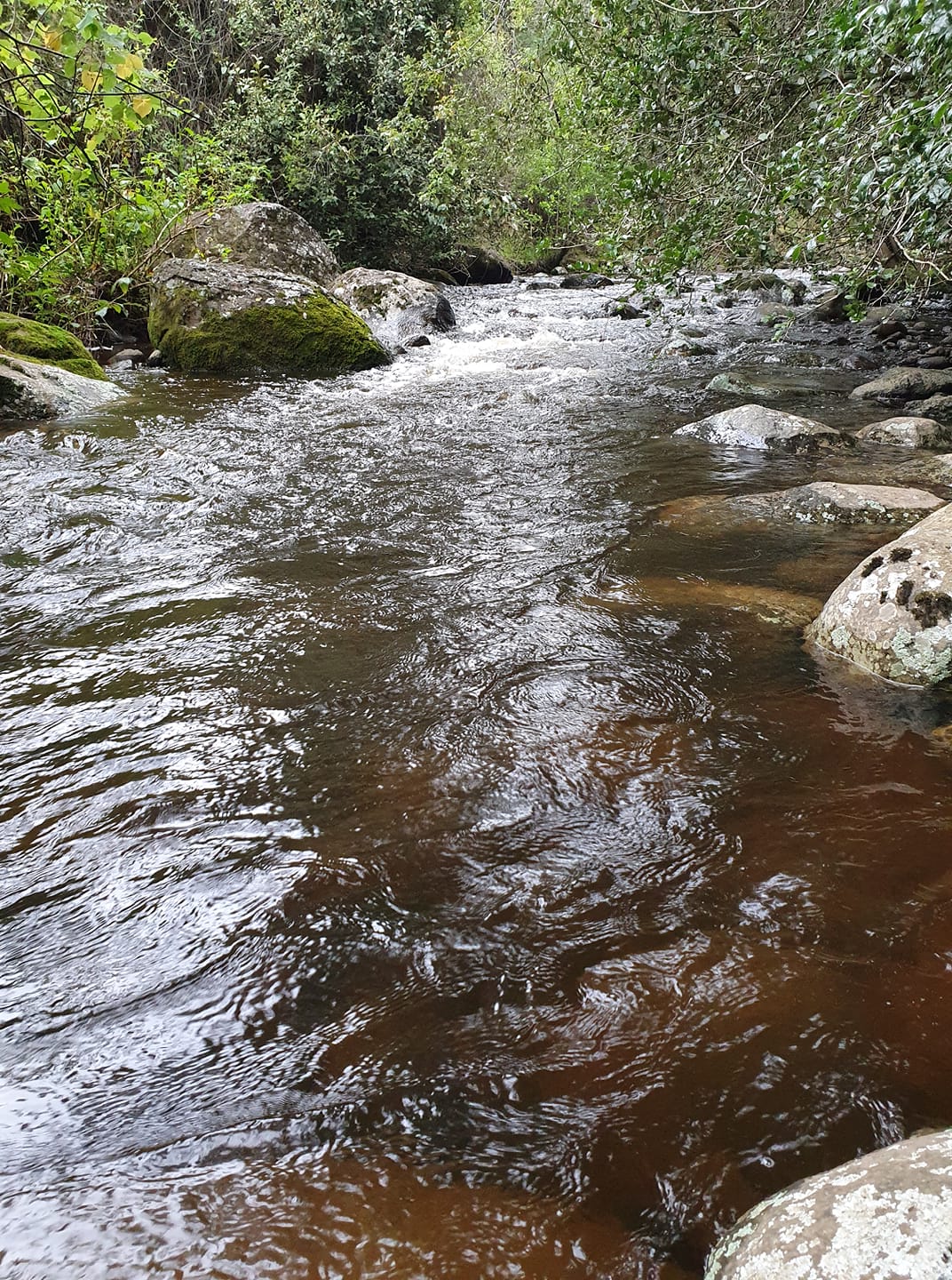 Beautiful mountain view.. river is flowing.. fresh and clean water