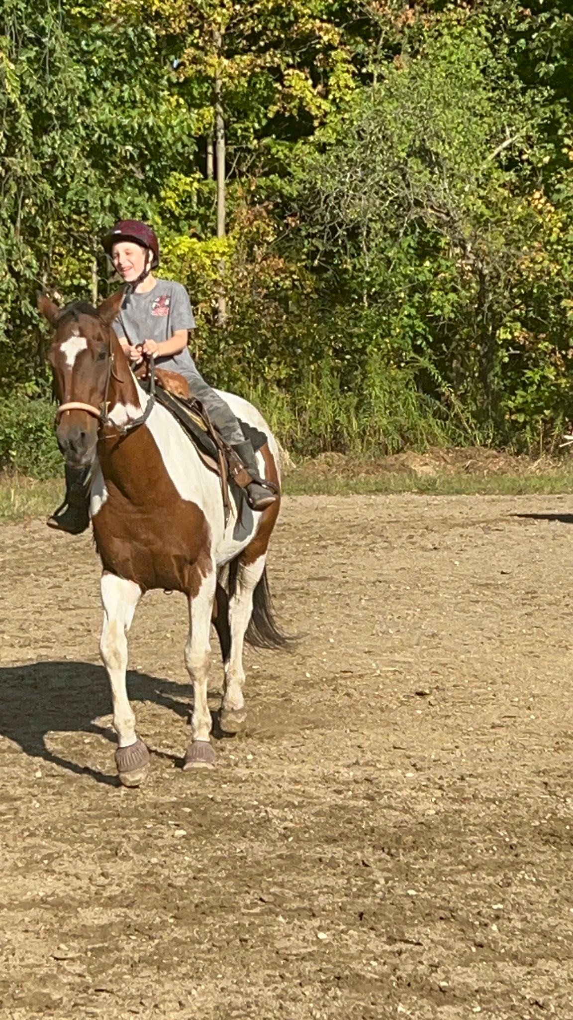 AB Ranch | Rootstown OH