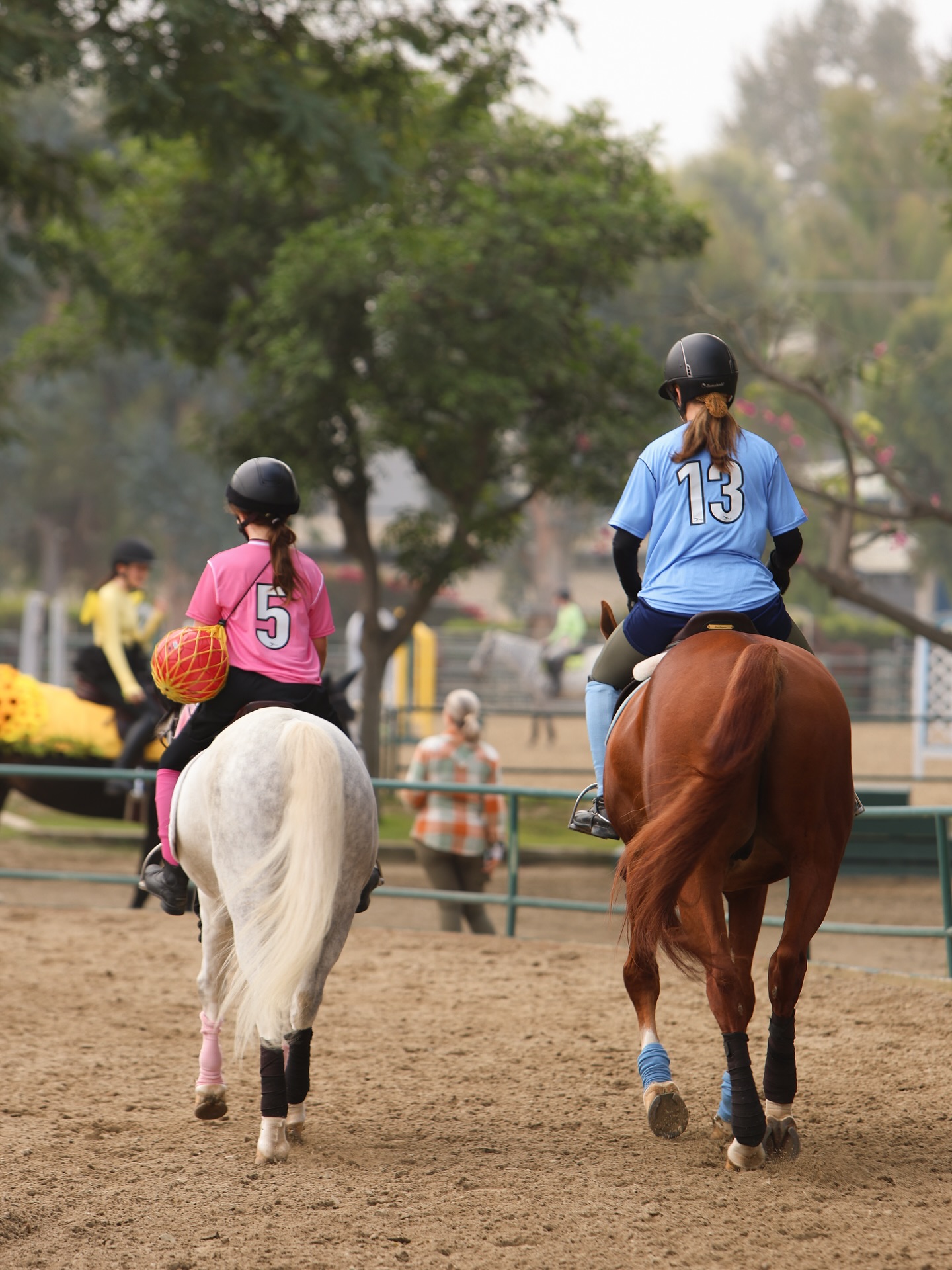 The Paddock Riding Club added a... - The Paddock Riding Club