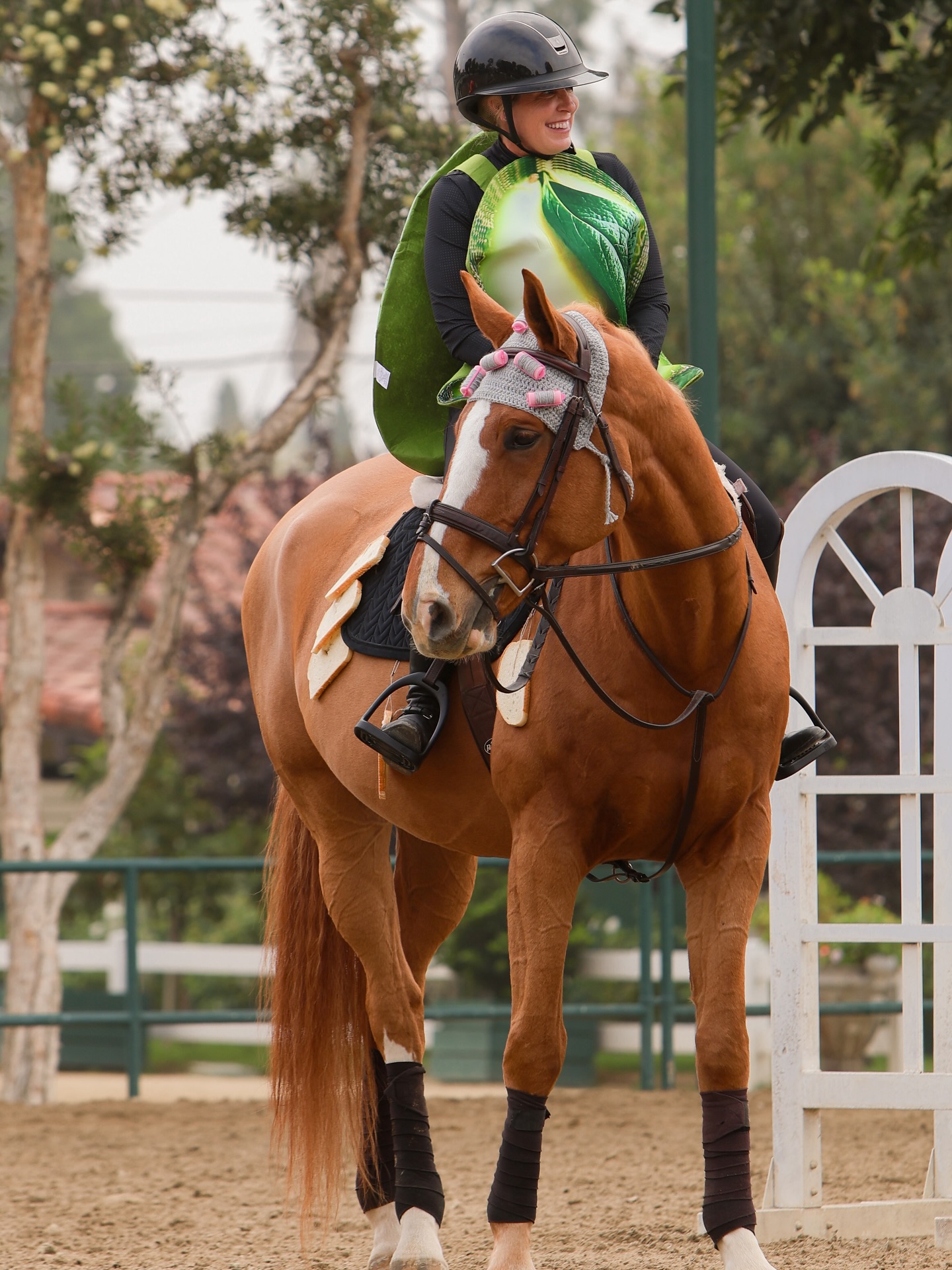 The Paddock Riding Club added a... - The Paddock Riding Club