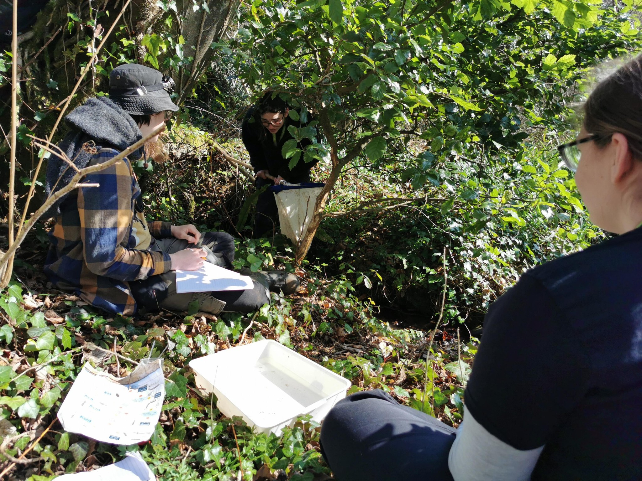 Countryside... - Countryside Management at Bicton College