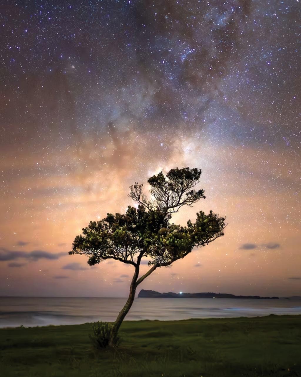 Visit new member Paul Schrader at... - Mercury Bay Art Escape | Facebook