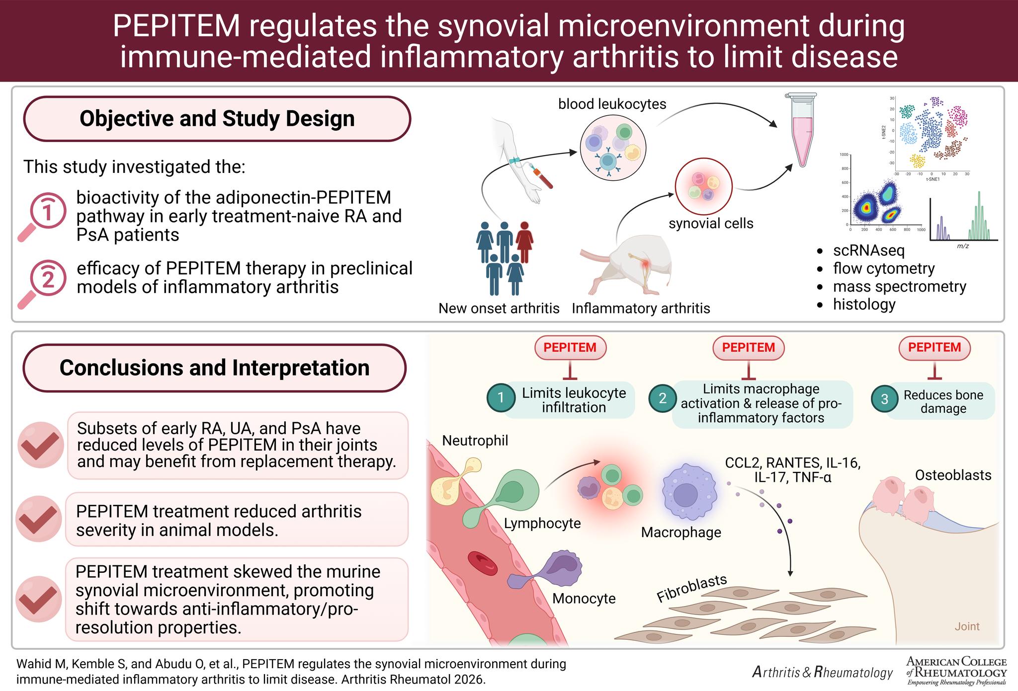 bpc 157 for psoriatic arthritis New study in & Rheumatology provides insights into inflammatory arthritis and examined dysregulation of the adiponectin–PEPITEM pathway in early rheumatoid arthritis and arthritis. PEPITEM treatment modulated the synovial niche and DOU TAI Vitamin B-12 5000 mcg/ml Size:6 x 10mg/10mg