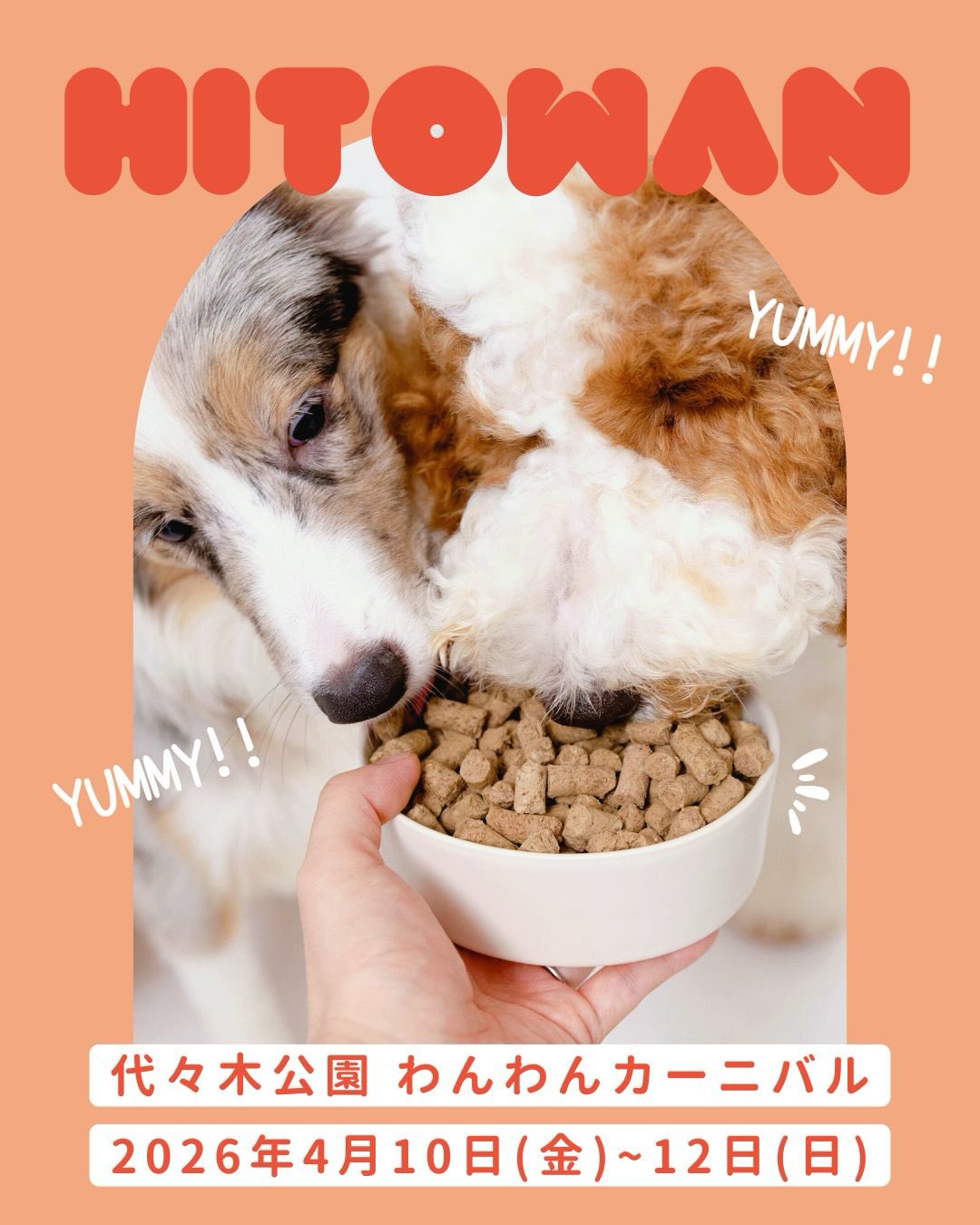 代々木公園わんわんカーニバル に HITOWAN も出店します🐶✨ 🗓️4月10