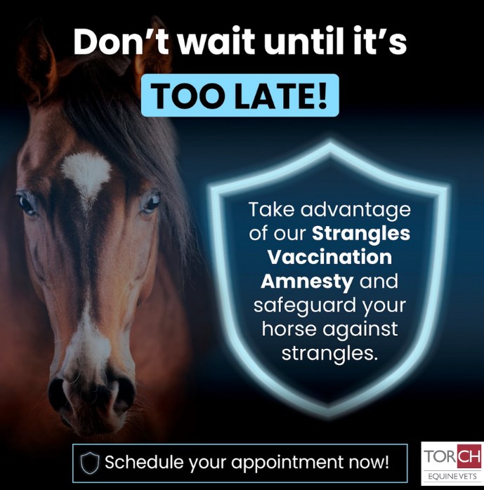 Torch - What do you need to know about strangles? Watch the video below ...