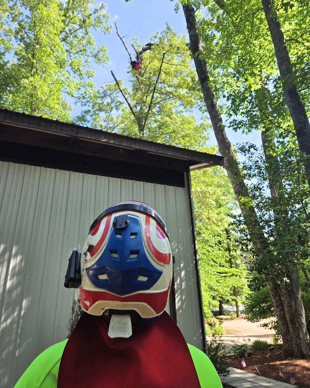 Branson's Tree Service | Fredericksburg VA