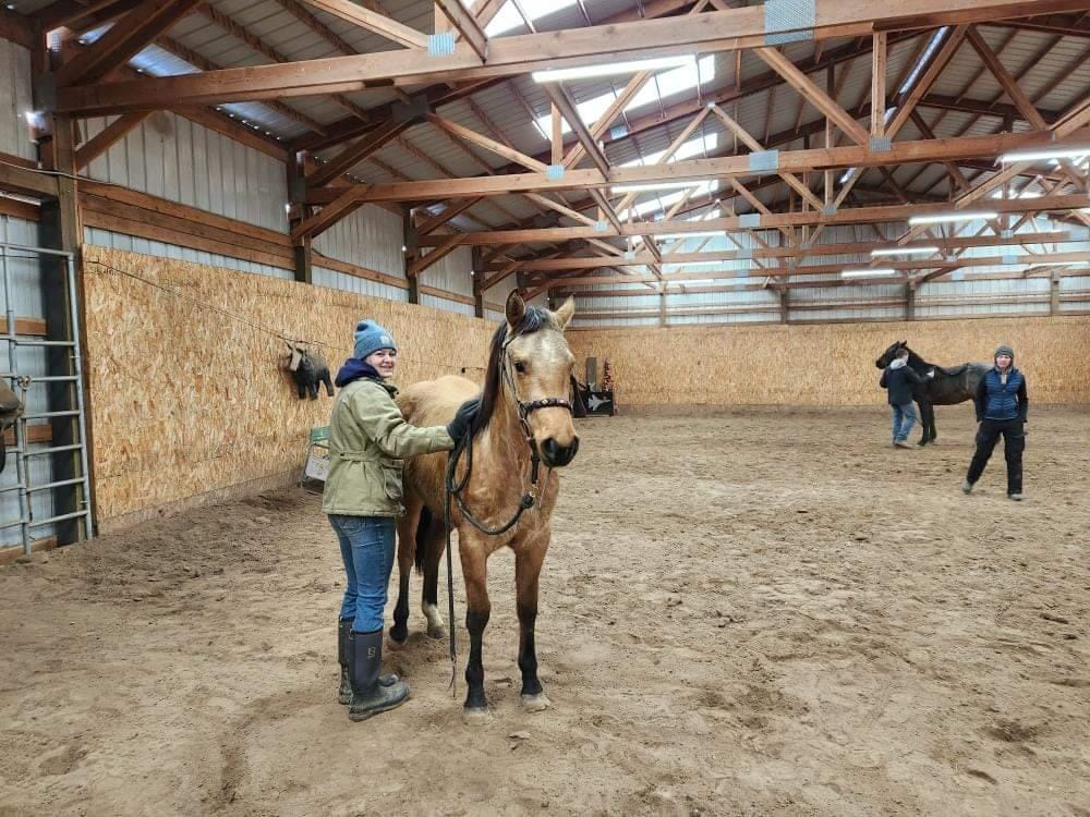 Roaring Springs Ranch Quarter Horses | Frenchglen OR