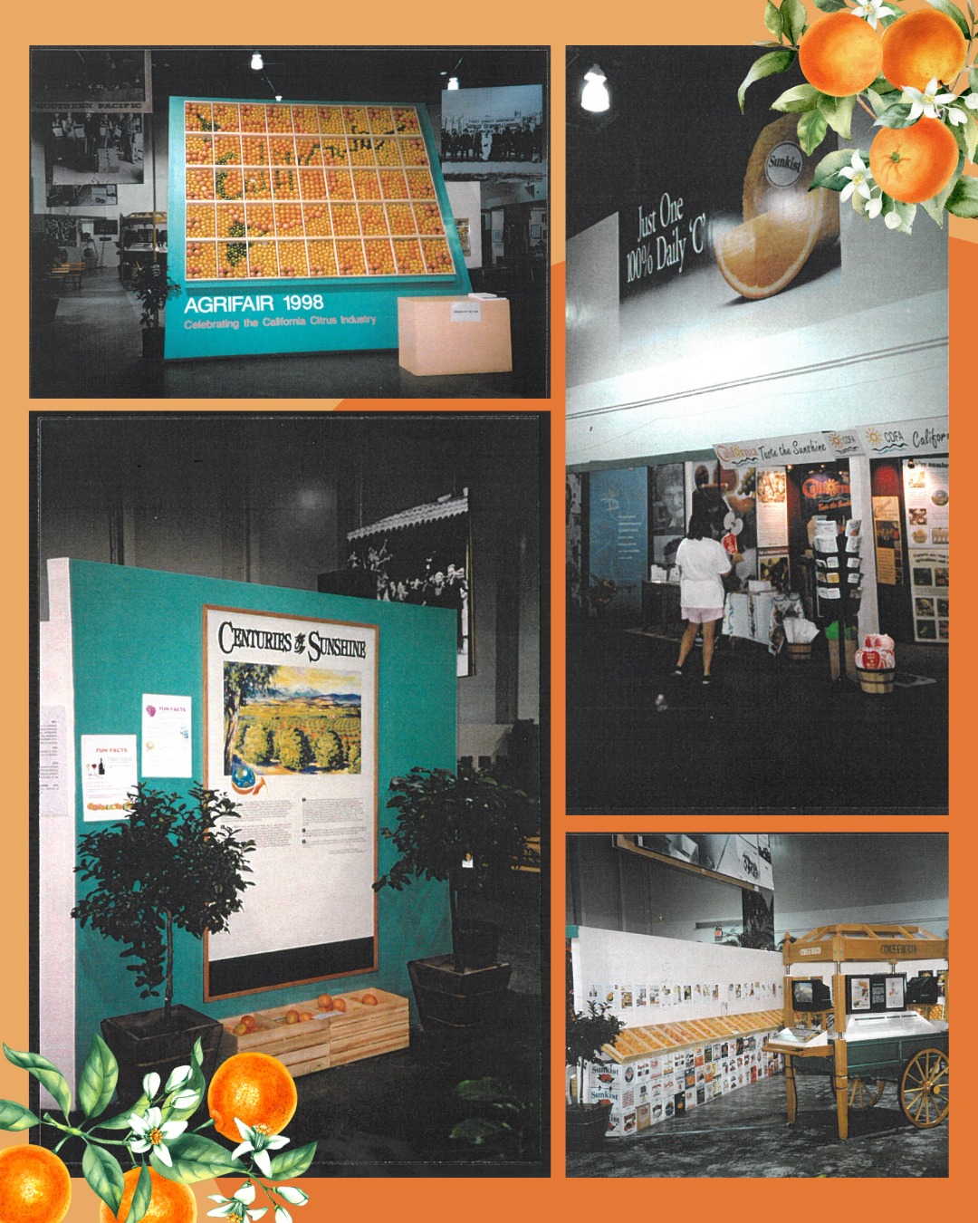 FRUITS　1998 Throwback to the 1998 Citrus Exhibit at the California State Fair