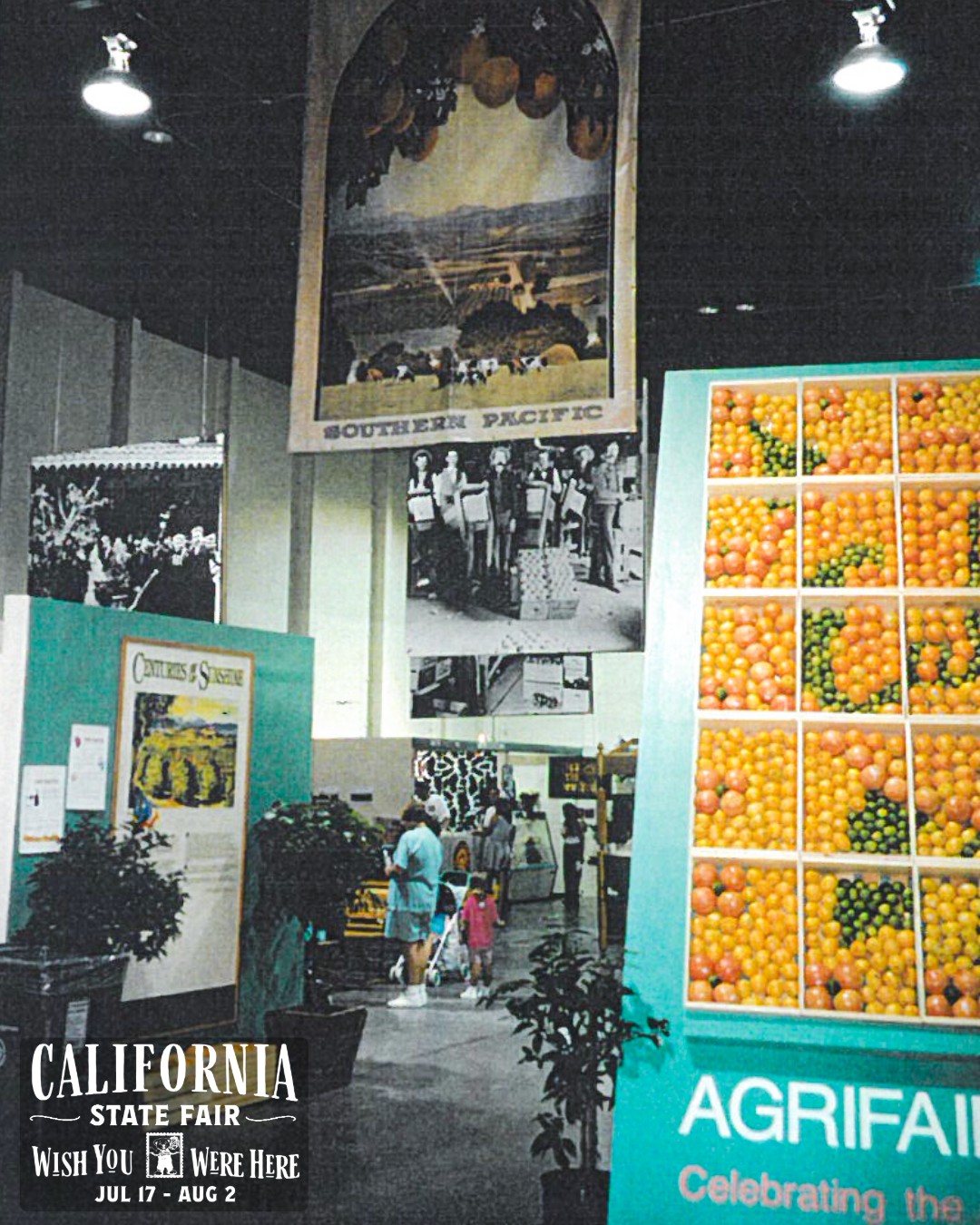Throwback to the 1998 Citrus Exhibit at the California State Fair