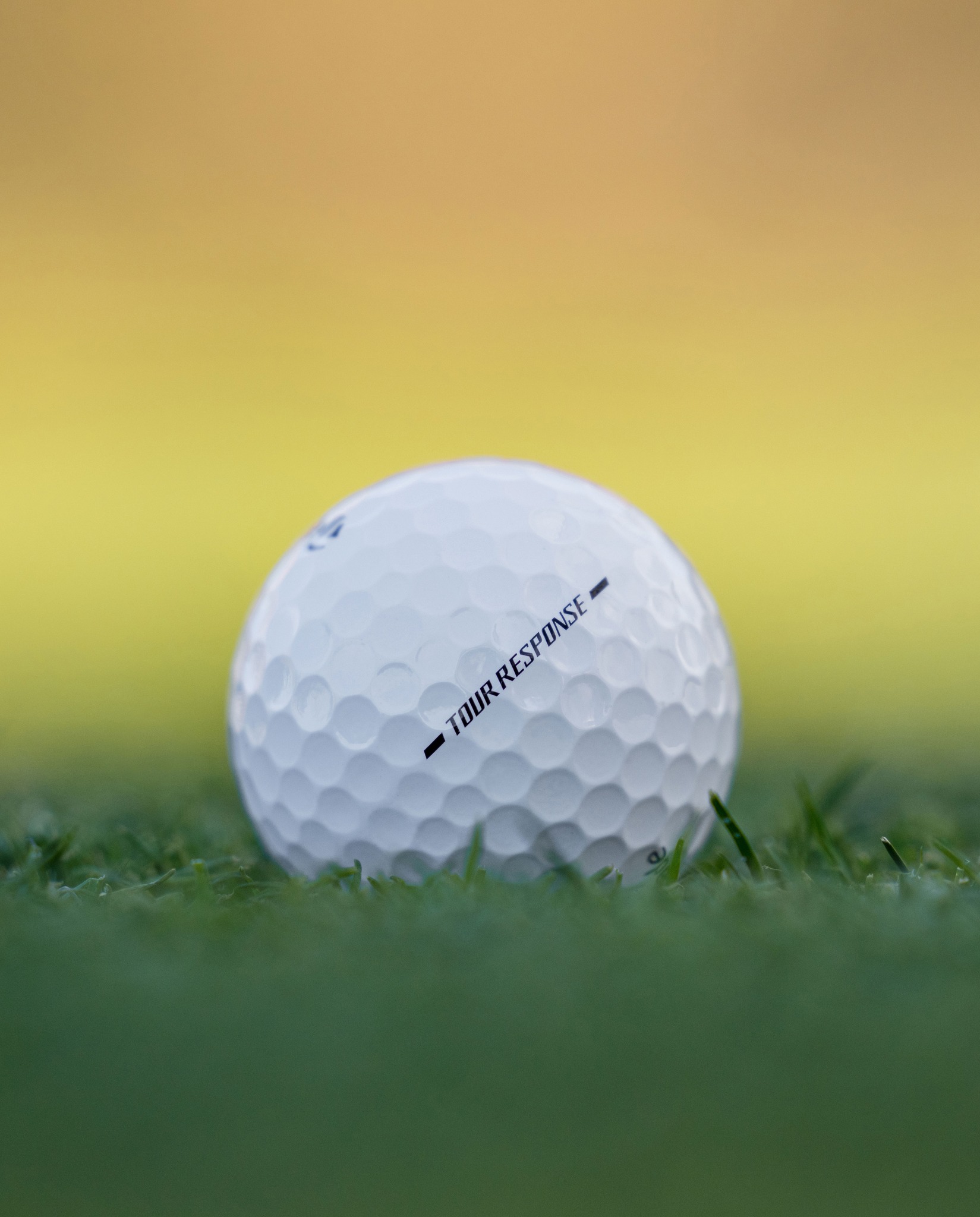 Stand Out on the Green ⛳ Introducing the TaylorMade 2026 Tour 