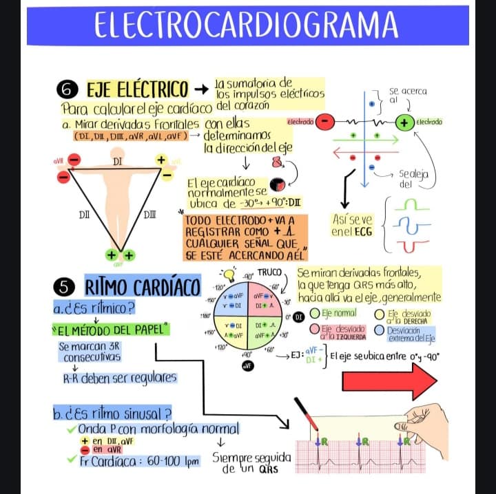 Un patrón respiratorio es la... - ENAE Enfermeros Exitosos | Facebook