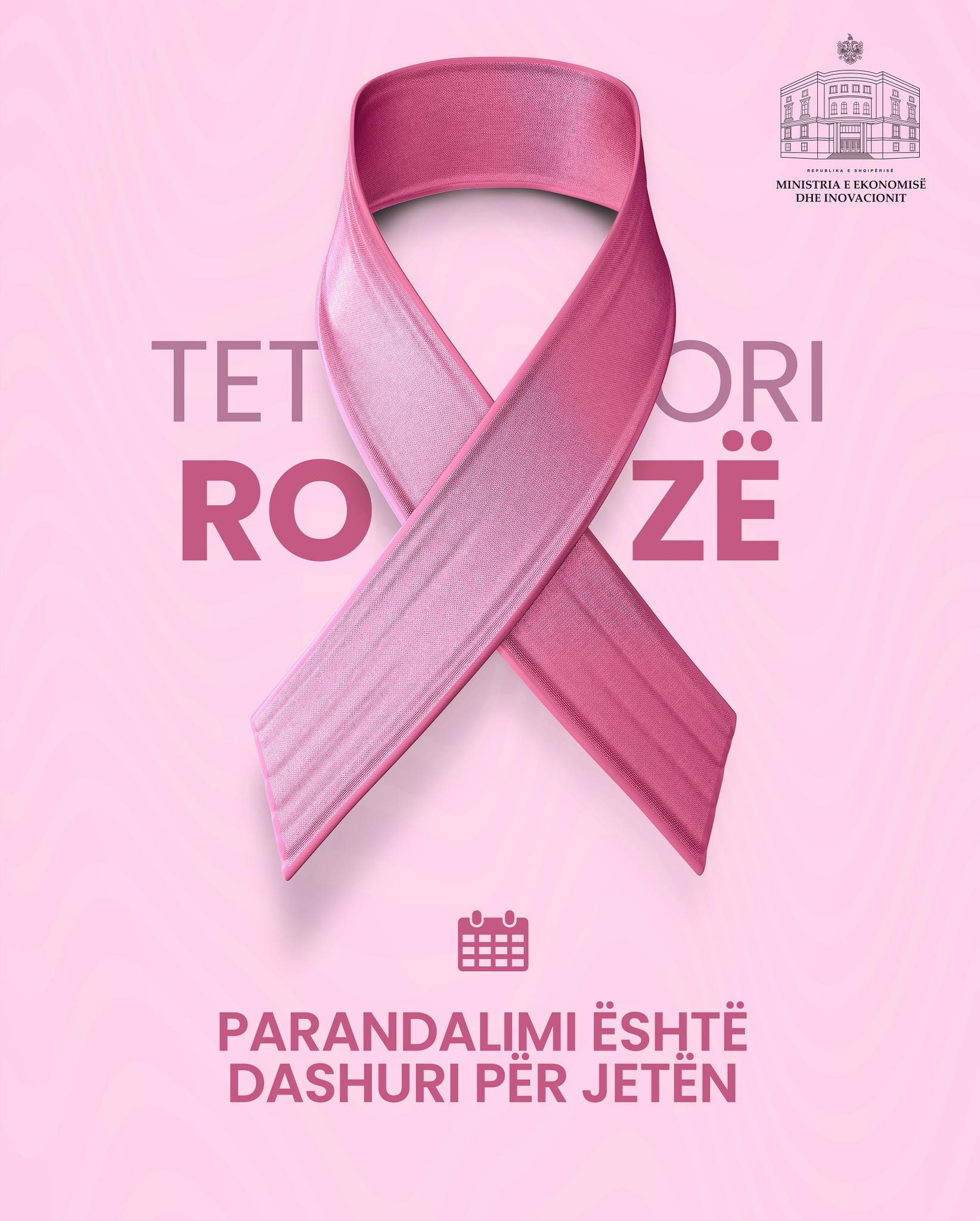 Delina - 🎀 Tetori Rozë Muaji i ndërgjegjësimit për kancerin e gjirit 🎀 ...