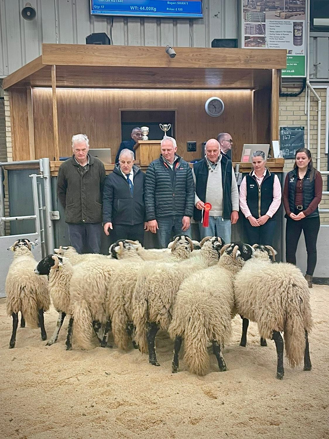 Penrith - 🥇First Prize Swale Gimmer Lambs from GD & JP Nelson, Hedwynds ...