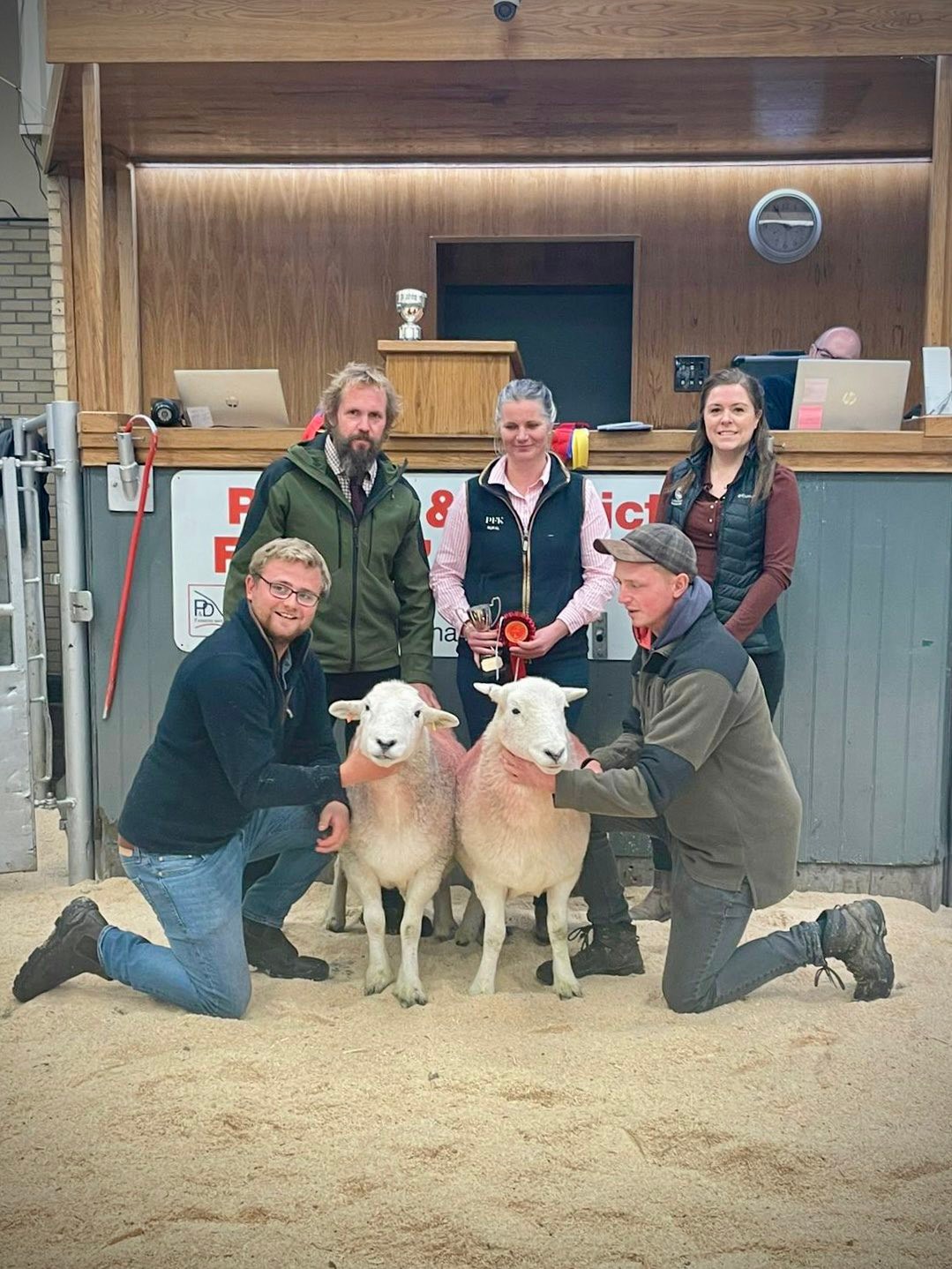 Penrith - 🏆 First Prize Pair of Herdwick Ewes from Messrs Bland, Clea ...