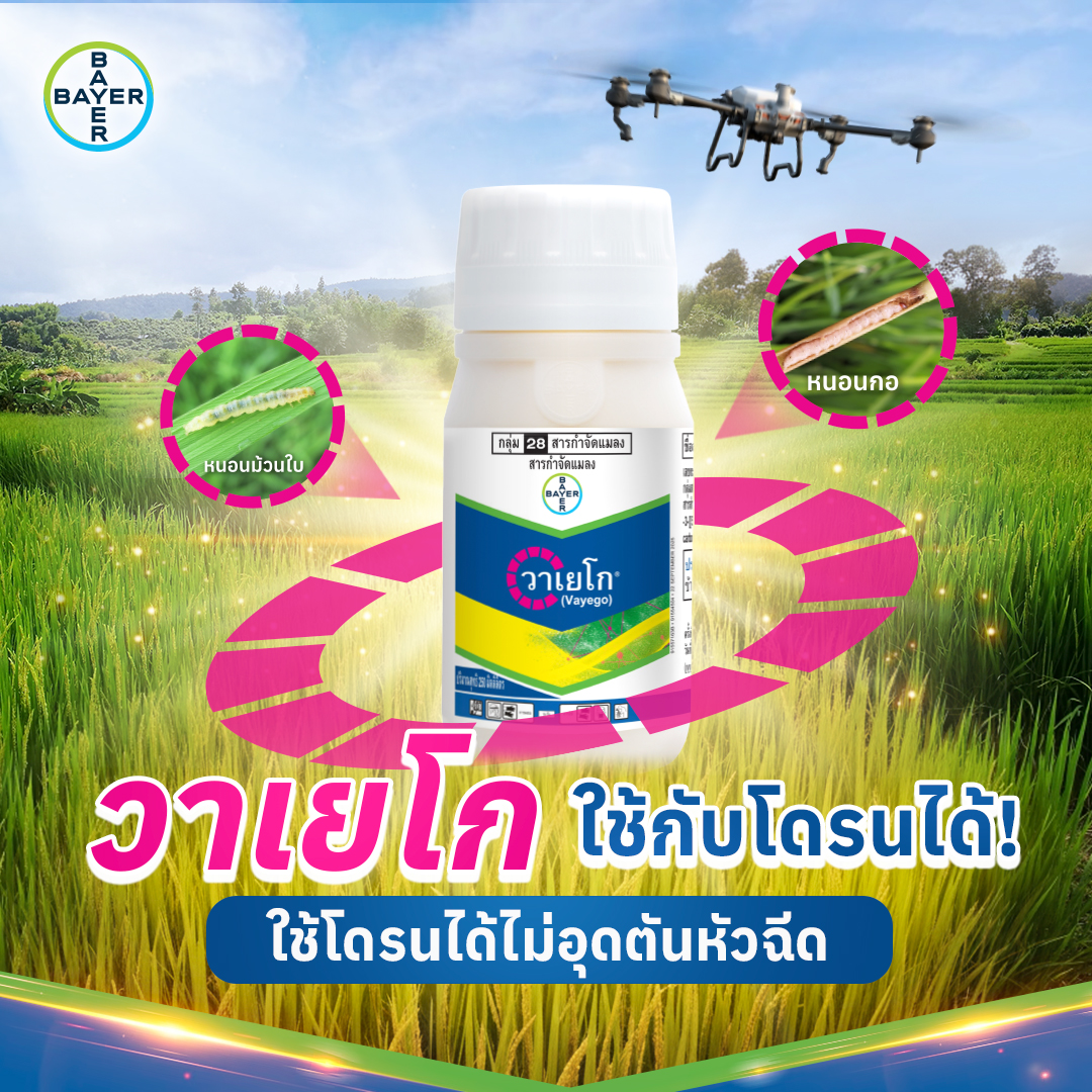 Bayer CS Thailand