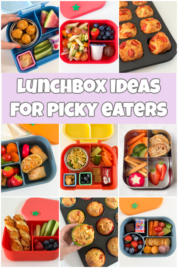 My Fussy Eater - Our easy school lunch ideas are perfect... | Facebook