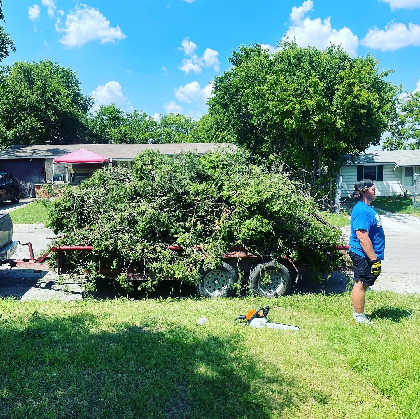 Tesla Tree Trimming | Kempner TX
