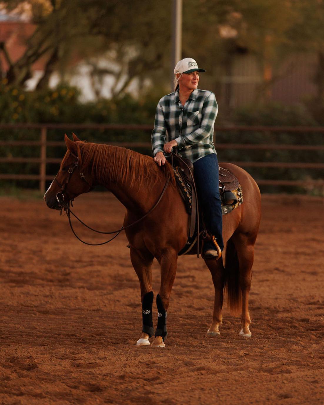 Pinnacle Ranch - It’s the Year of the Horse and if we’re... | Facebook